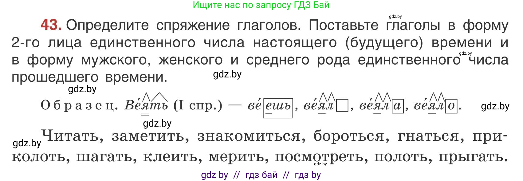 Русский язык, 5 класс Учебник, авторы: Мурина Лариса Александровна, Игнатович Татьяна Владимировна, Жадейко Жанна Фёдоровна, издательство Академия образования, Минск, 2025, голубого цвета, Часть 1, страница 31, номер 43, Условие