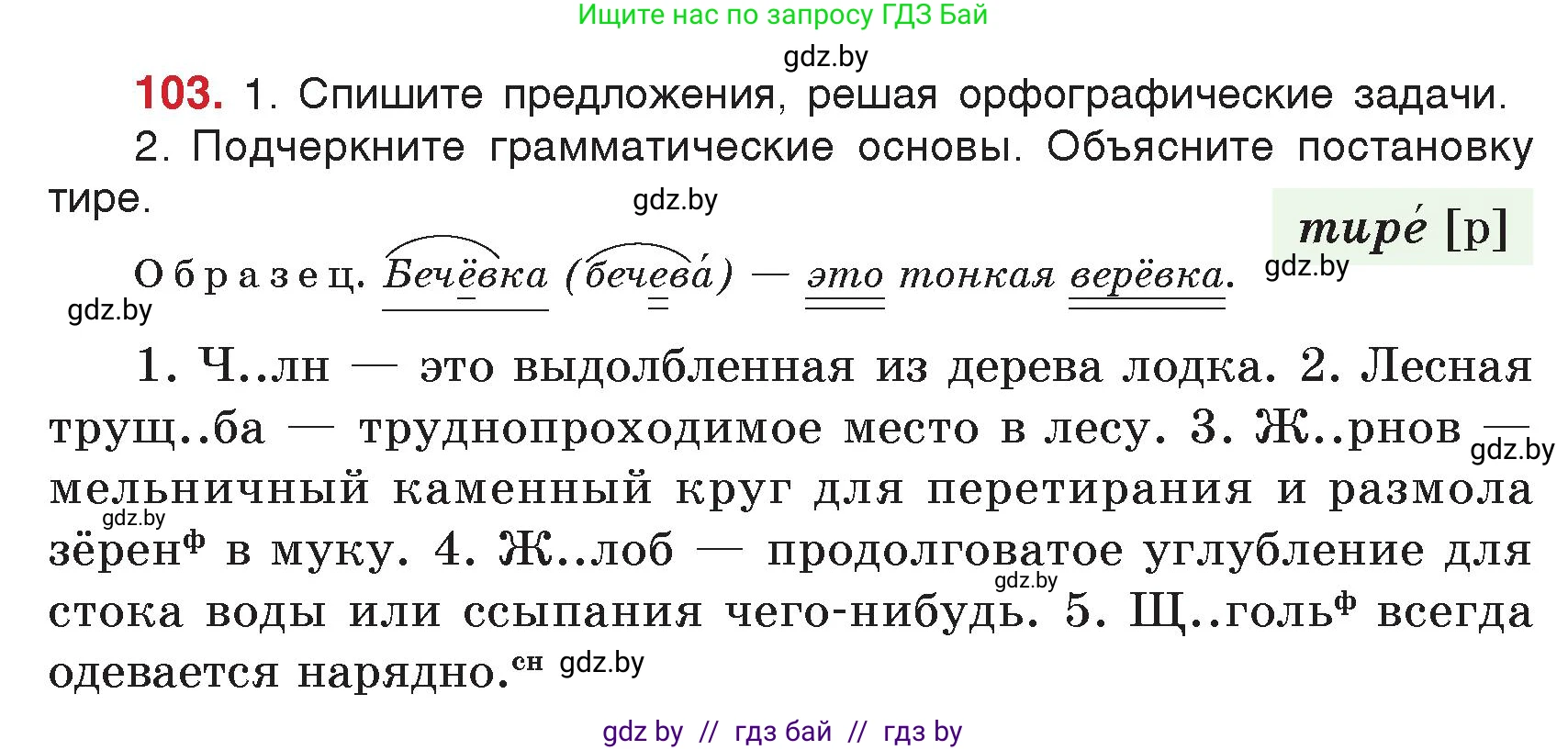 Русский язык, 5 класс Учебник, авторы: Мурина Лариса Александровна, Игнатович Татьяна Владимировна, Жадейко Жанна Фёдоровна, издательство Академия образования, Минск, 2025, голубого цвета, Часть 2, страница 56, номер 103, Условие
