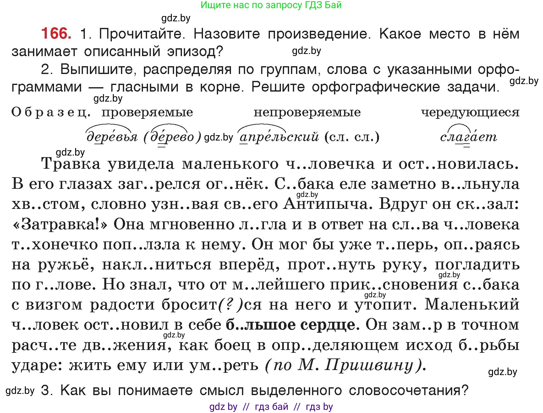 Русский язык, 5 класс Учебник, авторы: Мурина Лариса Александровна, Игнатович Татьяна Владимировна, Жадейко Жанна Фёдоровна, издательство Академия образования, Минск, 2025, голубого цвета, Часть 2, страница 84, номер 166, Условие