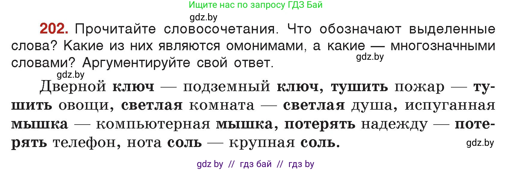 Русский язык, 5 класс Учебник, авторы: Мурина Лариса Александровна, Игнатович Татьяна Владимировна, Жадейко Жанна Фёдоровна, издательство Академия образования, Минск, 2025, голубого цвета, Часть 2, страница 101, номер 202, Условие