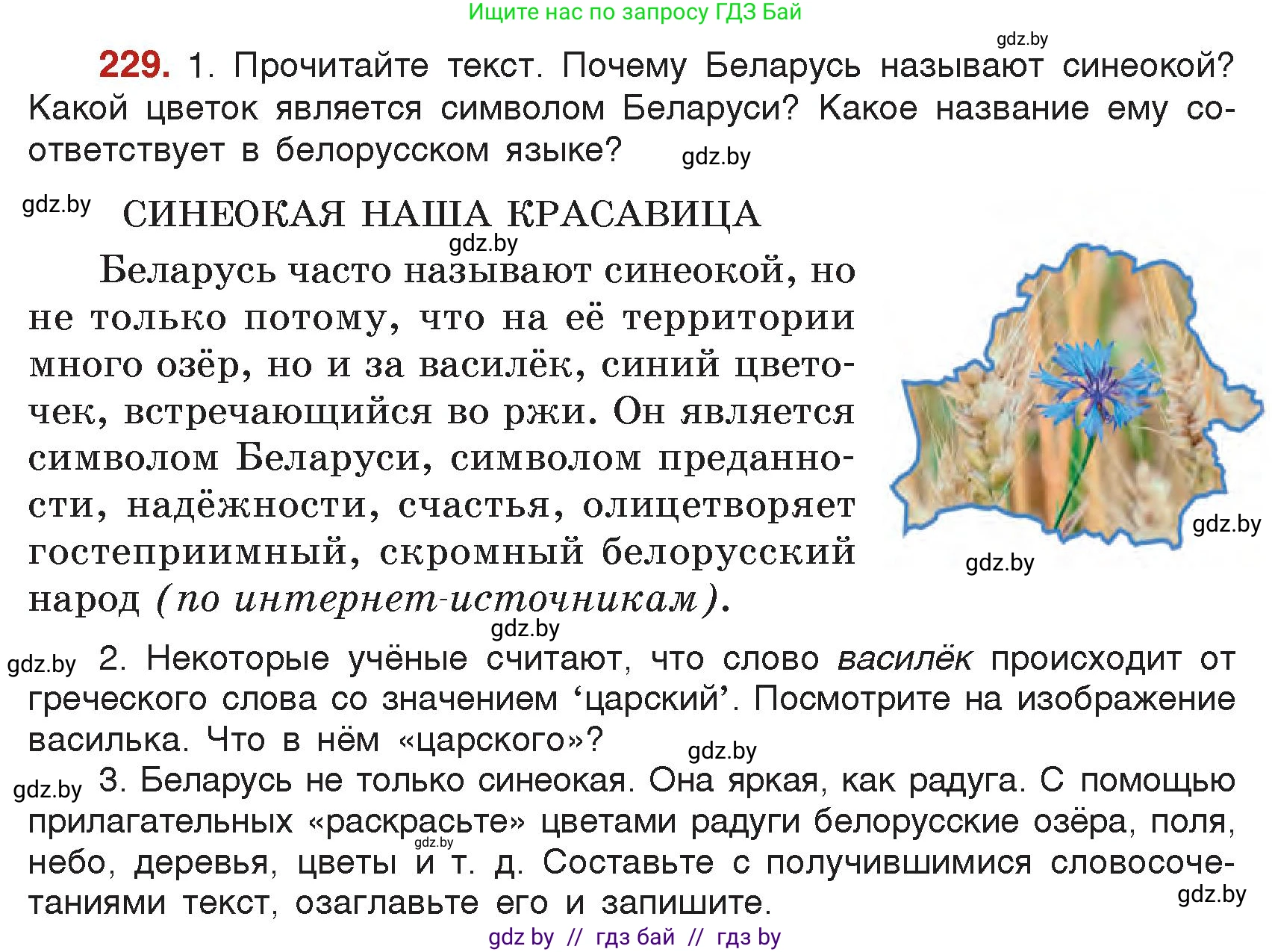 Русский язык, 5 класс Учебник, авторы: Мурина Лариса Александровна, Игнатович Татьяна Владимировна, Жадейко Жанна Фёдоровна, издательство Академия образования, Минск, 2025, голубого цвета, Часть 2, страница 113, номер 229, Условие