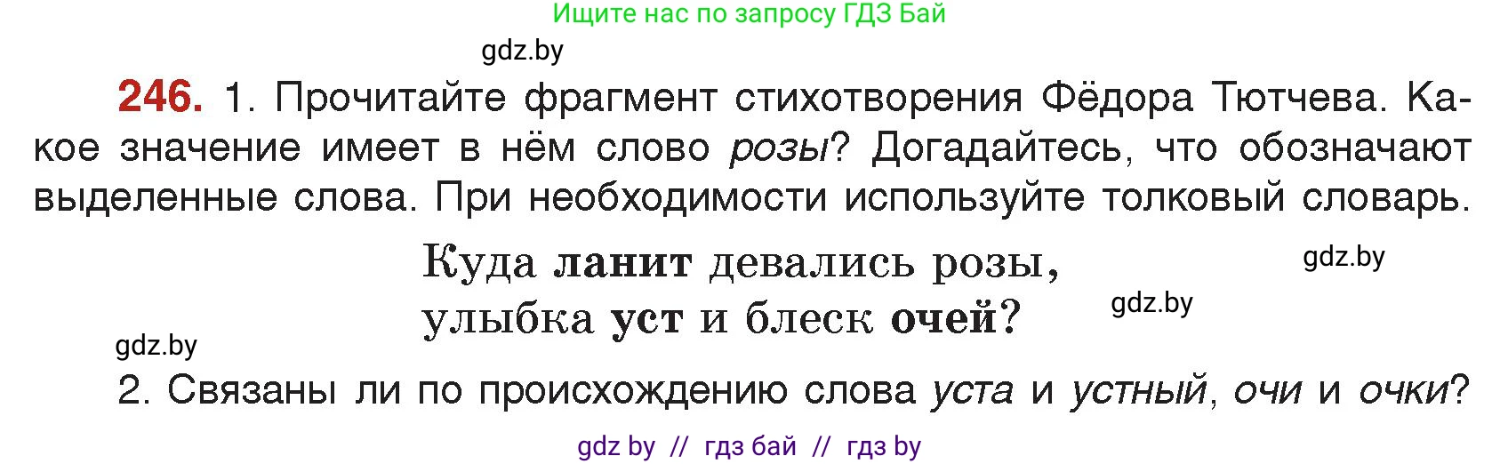 Русский язык, 5 класс Учебник, авторы: Мурина Лариса Александровна, Игнатович Татьяна Владимировна, Жадейко Жанна Фёдоровна, издательство Академия образования, Минск, 2025, голубого цвета, Часть 2, страница 121, номер 246, Условие