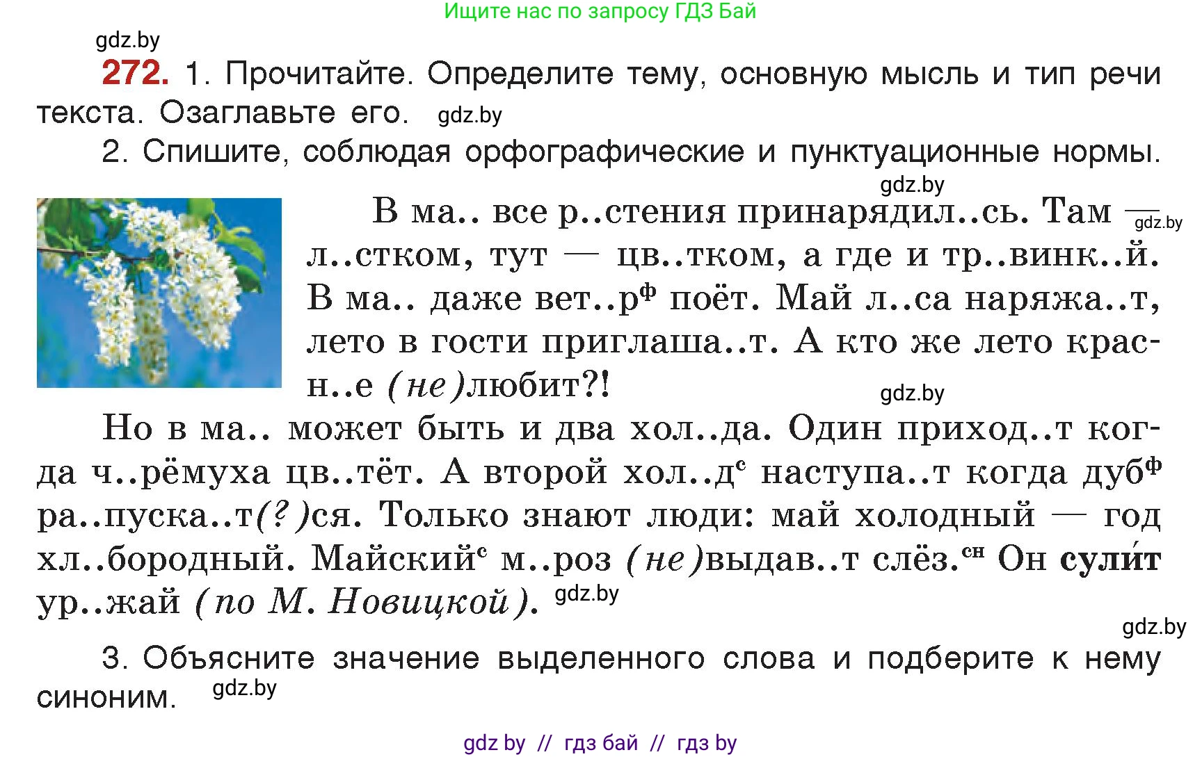 Русский язык, 5 класс Учебник, авторы: Мурина Лариса Александровна, Игнатович Татьяна Владимировна, Жадейко Жанна Фёдоровна, издательство Академия образования, Минск, 2025, голубого цвета, Часть 2, страница 134, номер 272, Условие