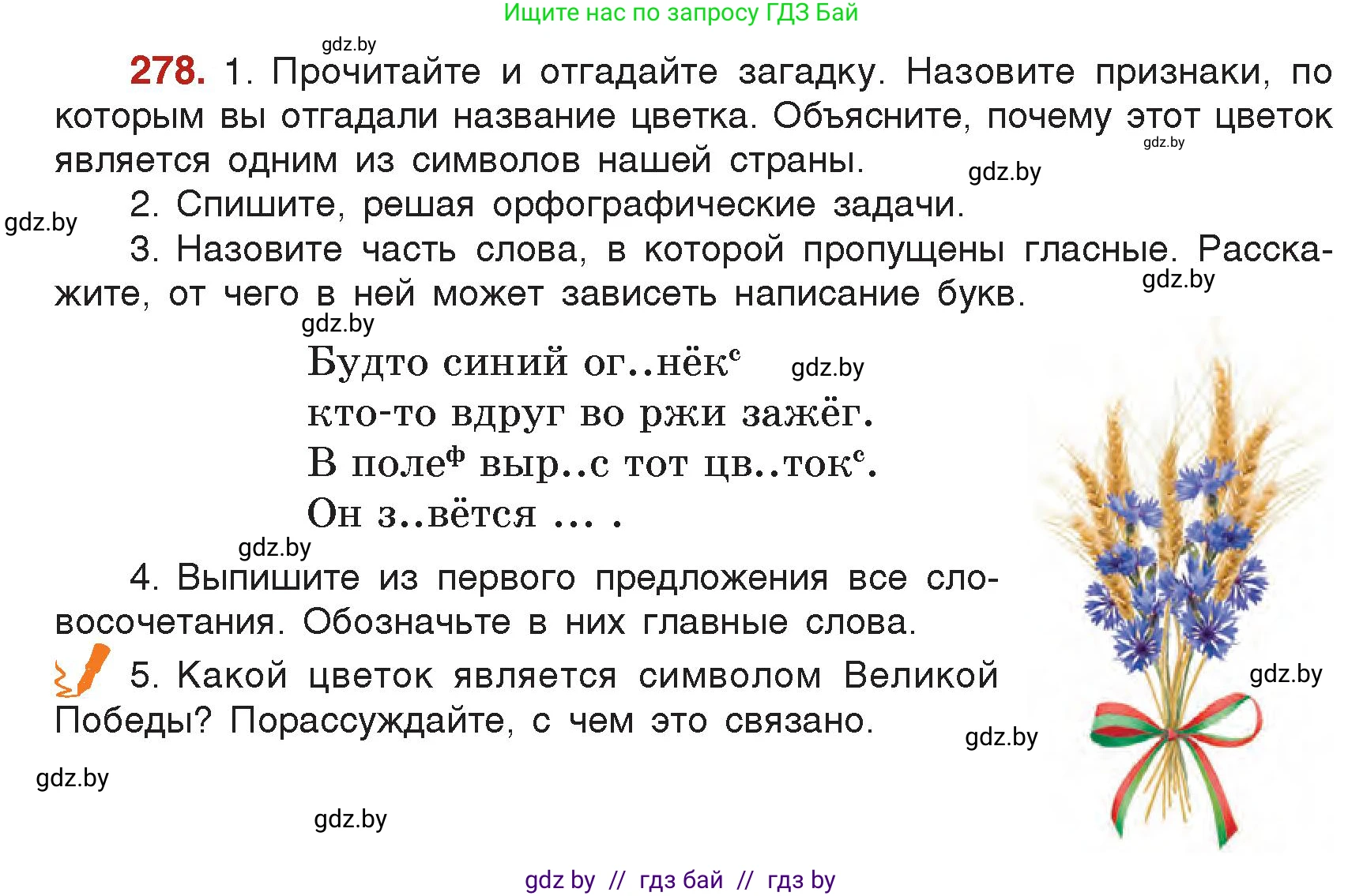 Русский язык, 5 класс Учебник, авторы: Мурина Лариса Александровна, Игнатович Татьяна Владимировна, Жадейко Жанна Фёдоровна, издательство Академия образования, Минск, 2025, голубого цвета, Часть 2, страница 137, номер 278, Условие