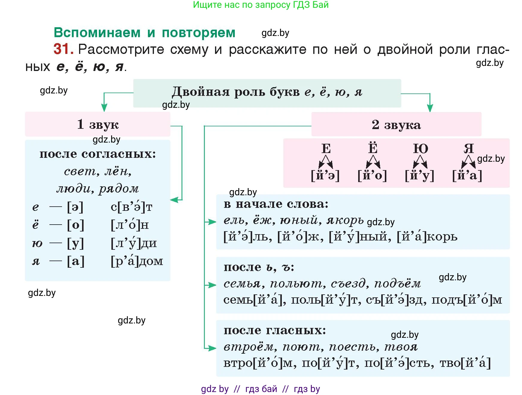 Русский язык, 5 класс Учебник, авторы: Мурина Лариса Александровна, Игнатович Татьяна Владимировна, Жадейко Жанна Фёдоровна, издательство Академия образования, Минск, 2025, голубого цвета, Часть 2, страница 18, номер 31, Условие