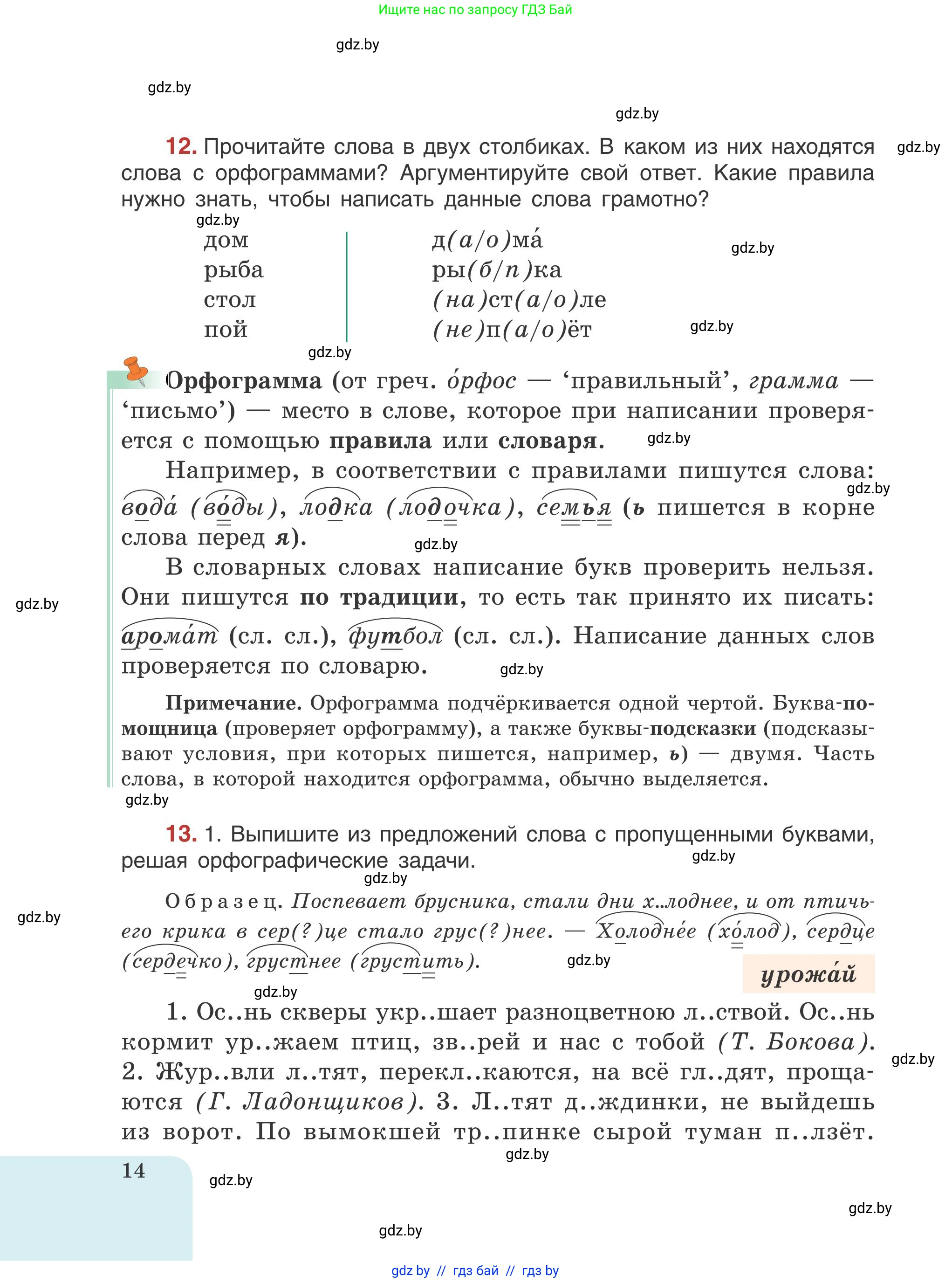 Русский язык, 5 класс Учебник, авторы: Мурина Лариса Александровна, Игнатович Татьяна Владимировна, Жадейко Жанна Фёдоровна, издательство Академия образования, Минск, 2025, голубого цвета, Часть 1, страница 14