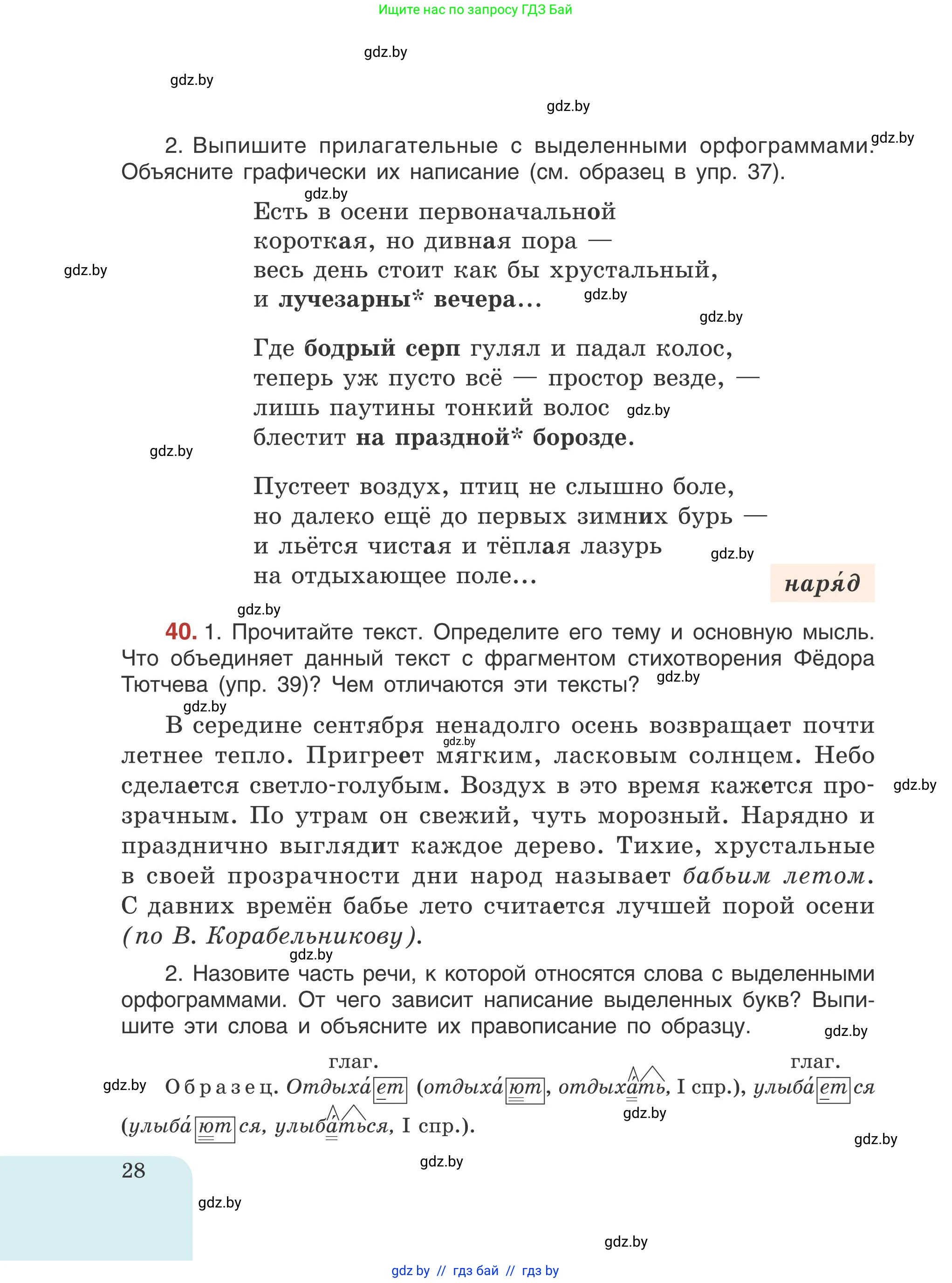 Русский язык, 5 класс Учебник, авторы: Мурина Лариса Александровна, Игнатович Татьяна Владимировна, Жадейко Жанна Фёдоровна, издательство Академия образования, Минск, 2025, голубого цвета, Часть 1, страница 28