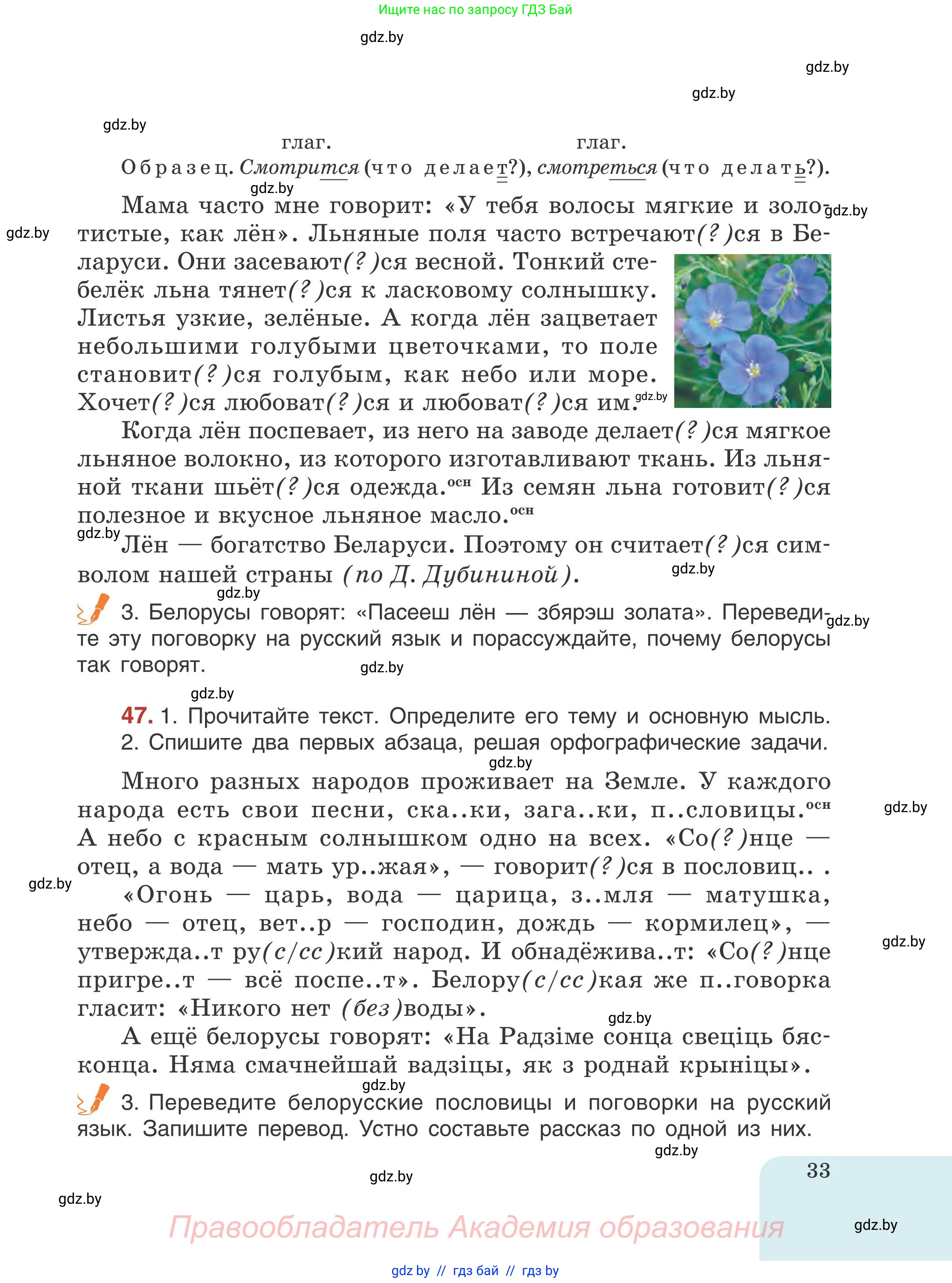 Русский язык, 5 класс Учебник, авторы: Мурина Лариса Александровна, Игнатович Татьяна Владимировна, Жадейко Жанна Фёдоровна, издательство Академия образования, Минск, 2025, голубого цвета, Часть 1, страница 33