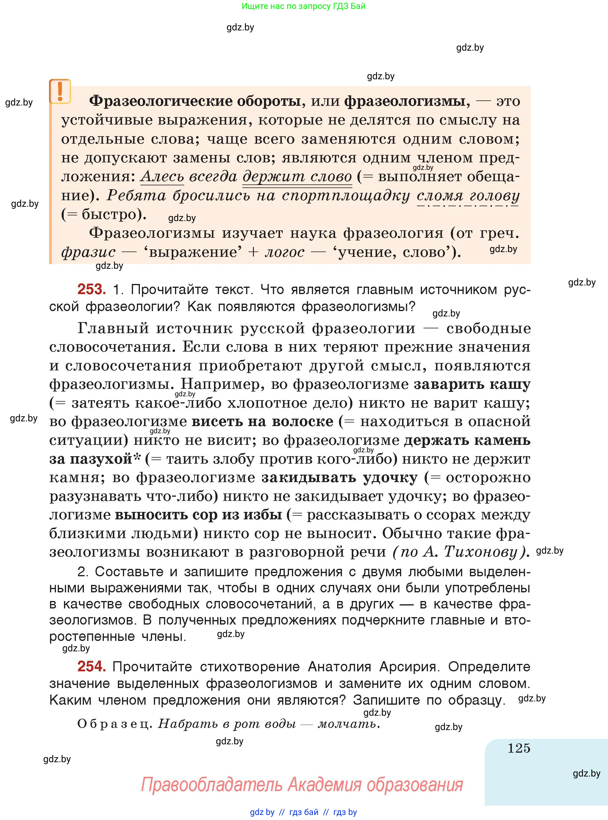 Русский язык, 5 класс Учебник, авторы: Мурина Лариса Александровна, Игнатович Татьяна Владимировна, Жадейко Жанна Фёдоровна, издательство Академия образования, Минск, 2025, голубого цвета, страница 125