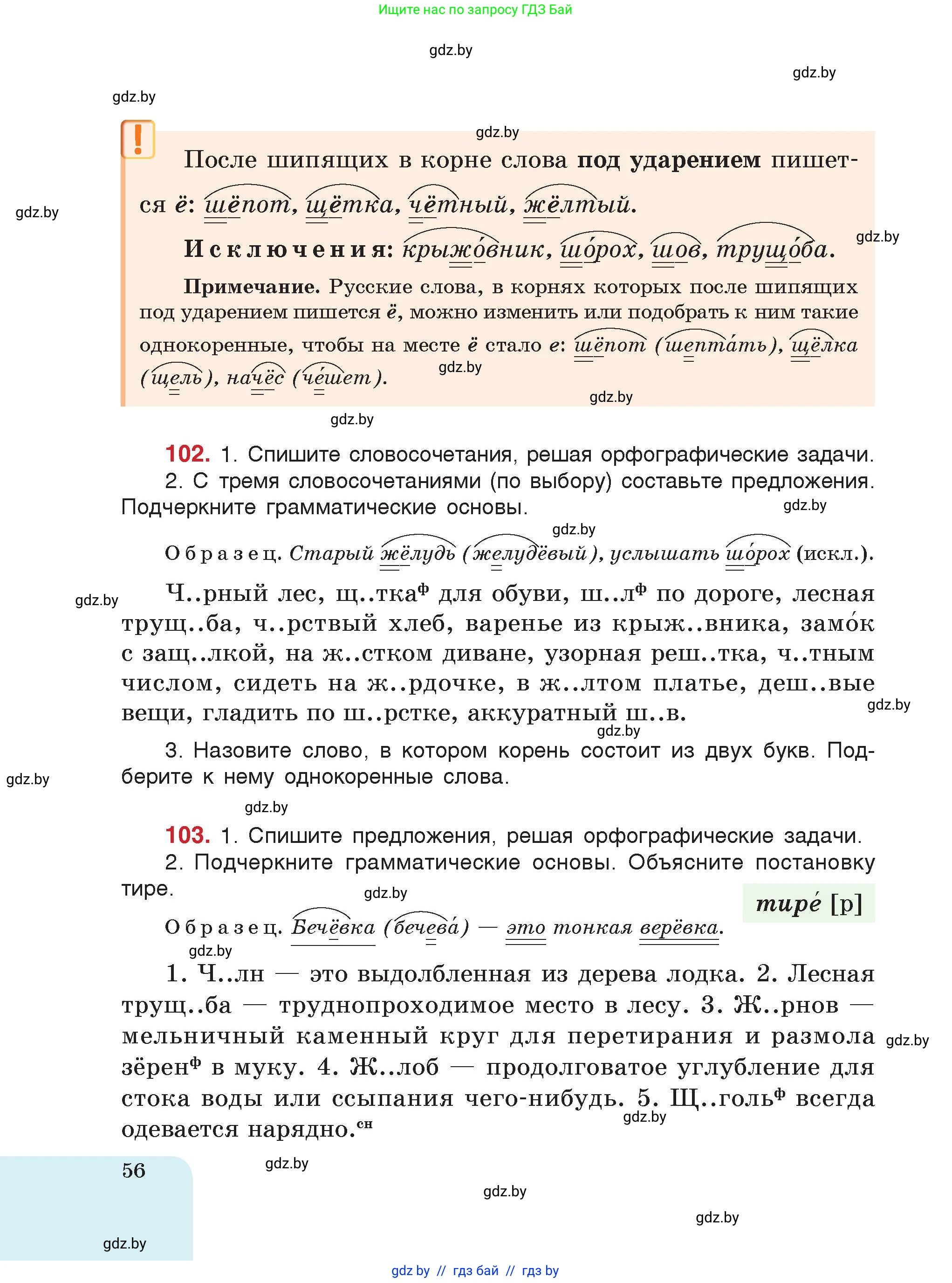 Русский язык, 5 класс Учебник, авторы: Мурина Лариса Александровна, Игнатович Татьяна Владимировна, Жадейко Жанна Фёдоровна, издательство Академия образования, Минск, 2025, голубого цвета, страница 56