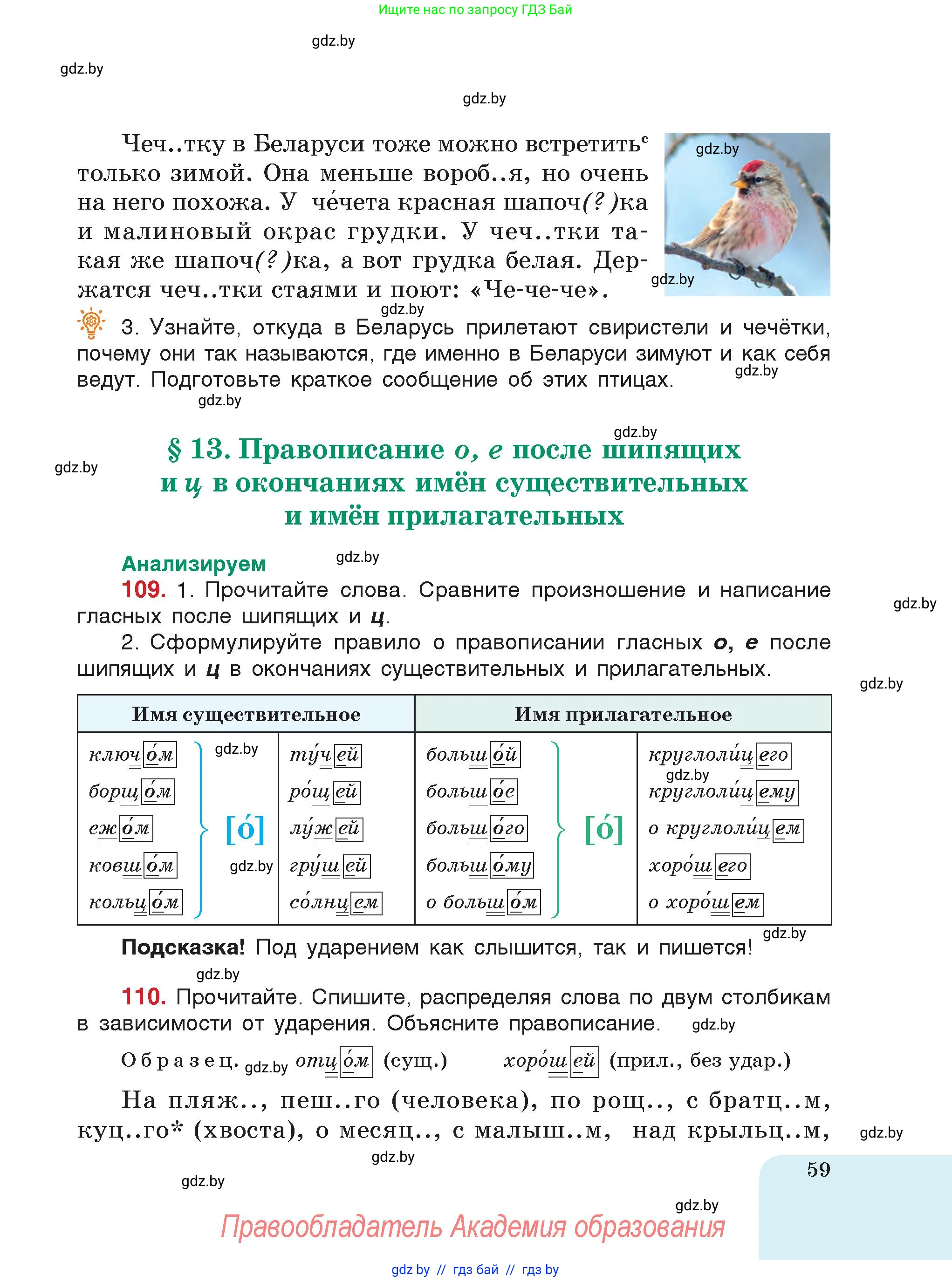Русский язык, 5 класс Учебник, авторы: Мурина Лариса Александровна, Игнатович Татьяна Владимировна, Жадейко Жанна Фёдоровна, издательство Академия образования, Минск, 2025, голубого цвета, страница 59