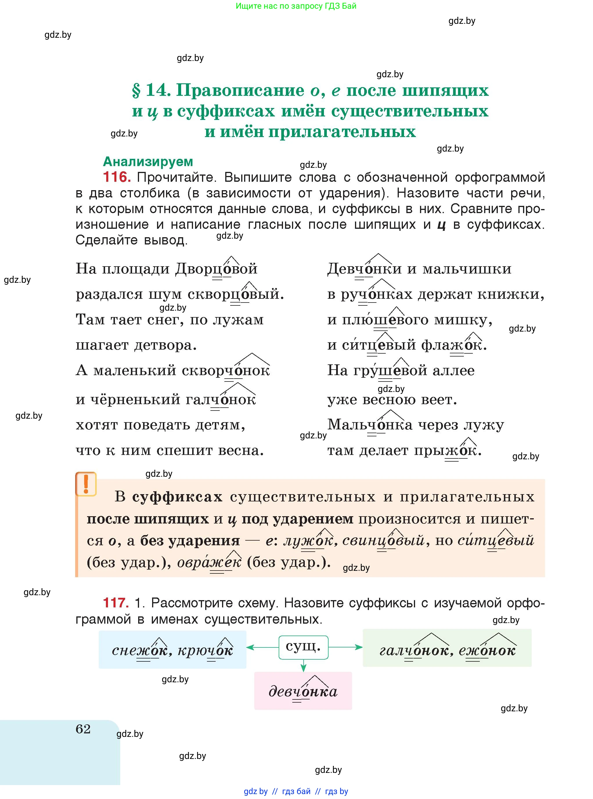 Русский язык, 5 класс Учебник, авторы: Мурина Лариса Александровна, Игнатович Татьяна Владимировна, Жадейко Жанна Фёдоровна, издательство Академия образования, Минск, 2025, голубого цвета, страница 62