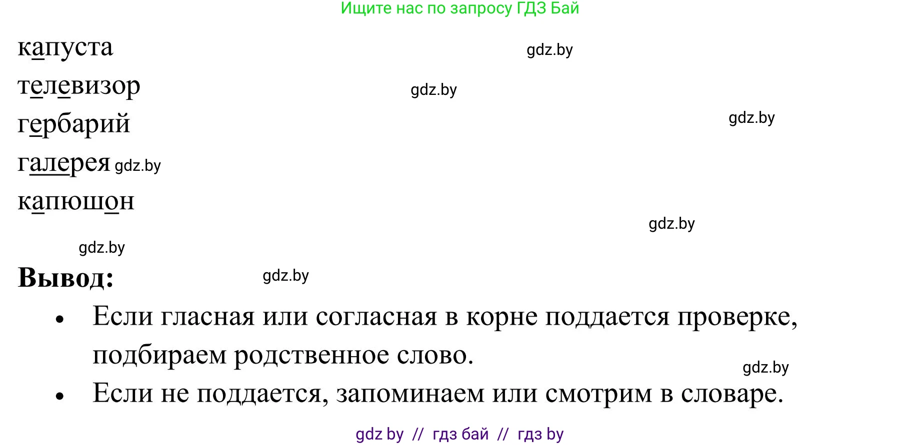 Русский язык, 5 класс Учебник, авторы: Мурина Лариса Александровна, Игнатович Татьяна Владимировна, Жадейко Жанна Фёдоровна, издательство Академия образования, Минск, 2025, голубого цвета, Часть 1, страница 13, номер 11, Решение (продолжение 2)