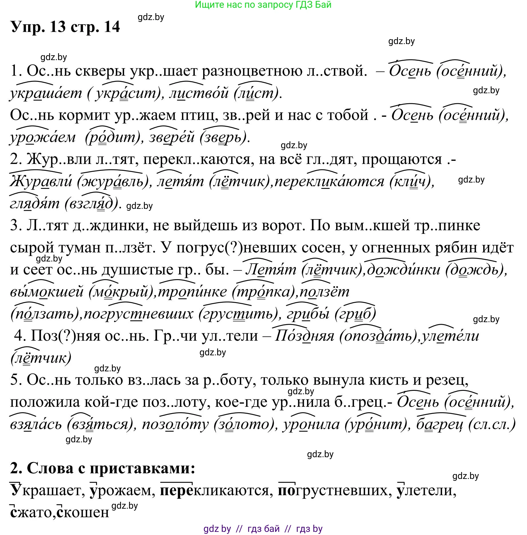 Русский язык, 5 класс Учебник, авторы: Мурина Лариса Александровна, Игнатович Татьяна Владимировна, Жадейко Жанна Фёдоровна, издательство Академия образования, Минск, 2025, голубого цвета, Часть 1, страница 14, номер 13, Решение