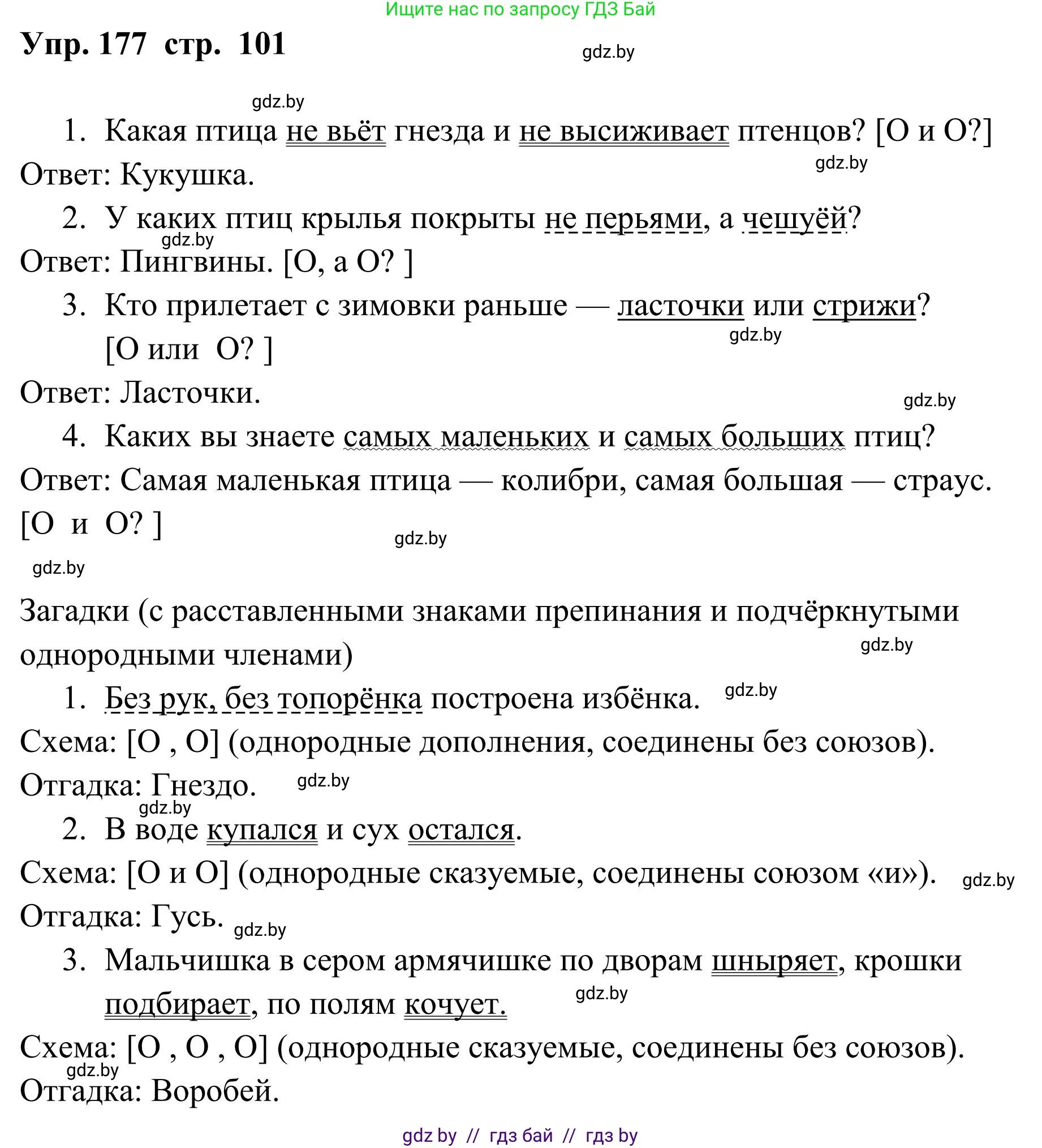 Русский язык, 5 класс Учебник, авторы: Мурина Лариса Александровна, Игнатович Татьяна Владимировна, Жадейко Жанна Фёдоровна, издательство Академия образования, Минск, 2025, голубого цвета, Часть 1, страница 101, номер 177, Решение