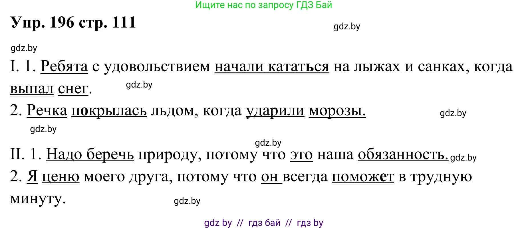 Русский язык, 5 класс Учебник, авторы: Мурина Лариса Александровна, Игнатович Татьяна Владимировна, Жадейко Жанна Фёдоровна, издательство Академия образования, Минск, 2025, голубого цвета, Часть 1, страница 111, номер 196, Решение