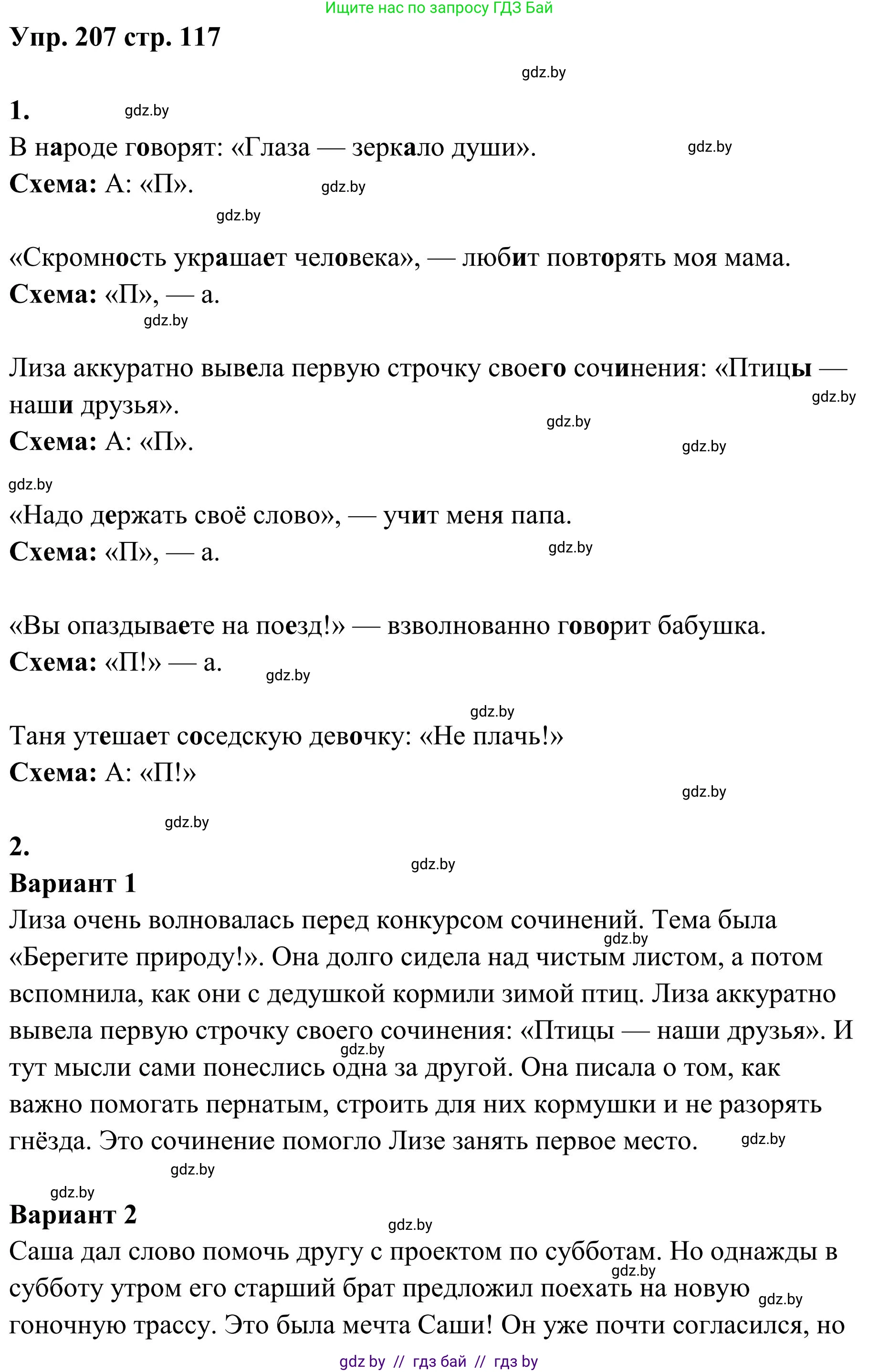 Русский язык, 5 класс Учебник, авторы: Мурина Лариса Александровна, Игнатович Татьяна Владимировна, Жадейко Жанна Фёдоровна, издательство Академия образования, Минск, 2025, голубого цвета, Часть 1, страница 117, номер 207, Решение