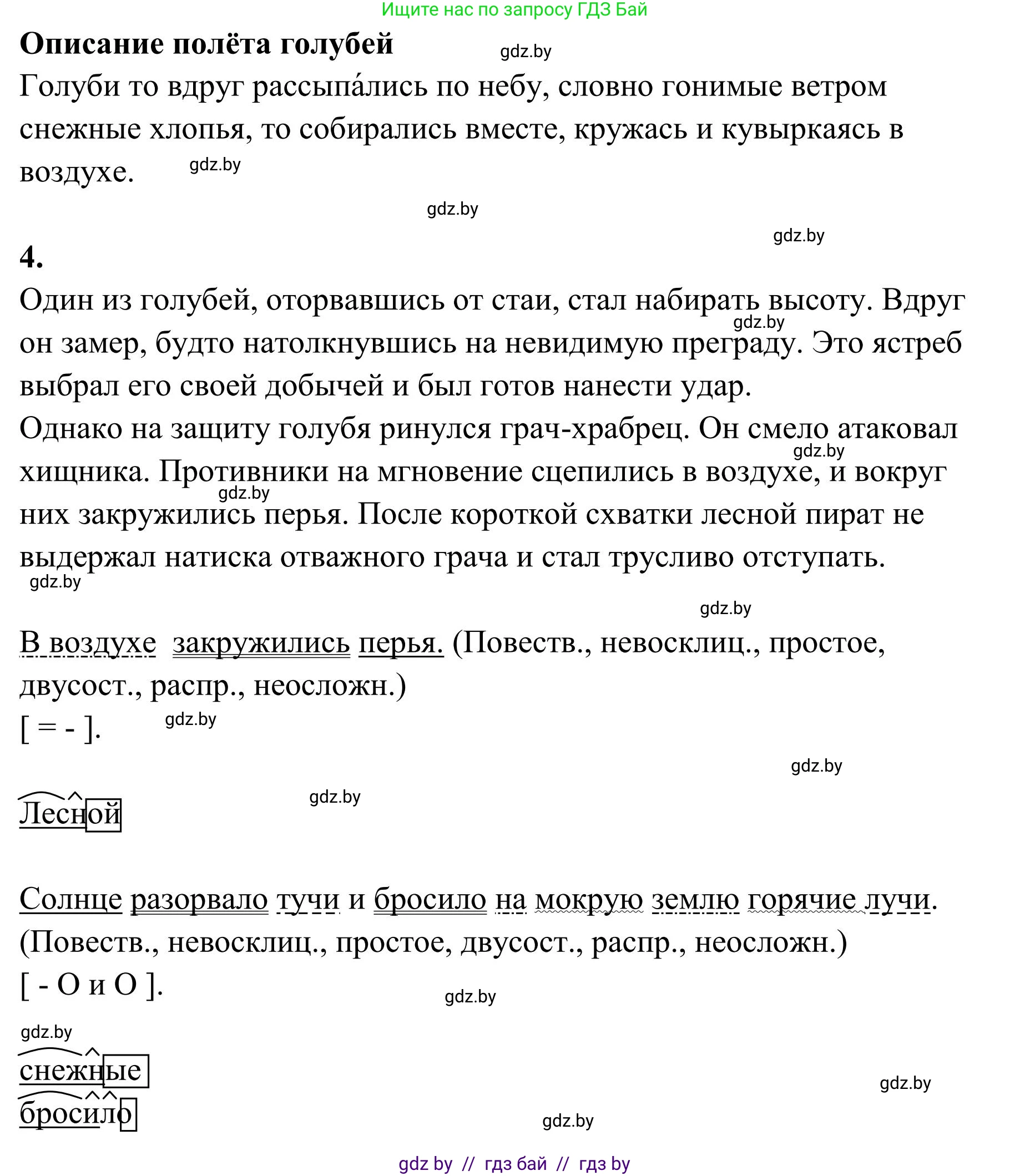Русский язык, 5 класс Учебник, авторы: Мурина Лариса Александровна, Игнатович Татьяна Владимировна, Жадейко Жанна Фёдоровна, издательство Академия образования, Минск, 2025, голубого цвета, Часть 1, страница 128, номер 221, Решение (продолжение 2)