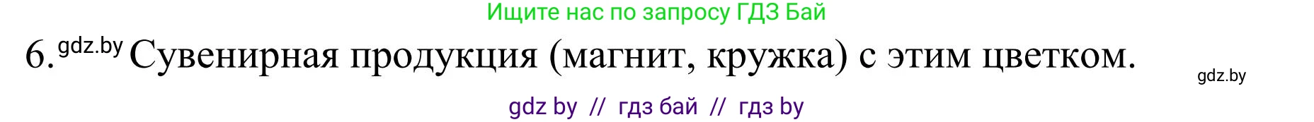 Русский язык, 5 класс Учебник, авторы: Мурина Лариса Александровна, Игнатович Татьяна Владимировна, Жадейко Жанна Фёдоровна, издательство Академия образования, Минск, 2025, голубого цвета, Часть 1, страница 131, номер 224, Решение (продолжение 3)