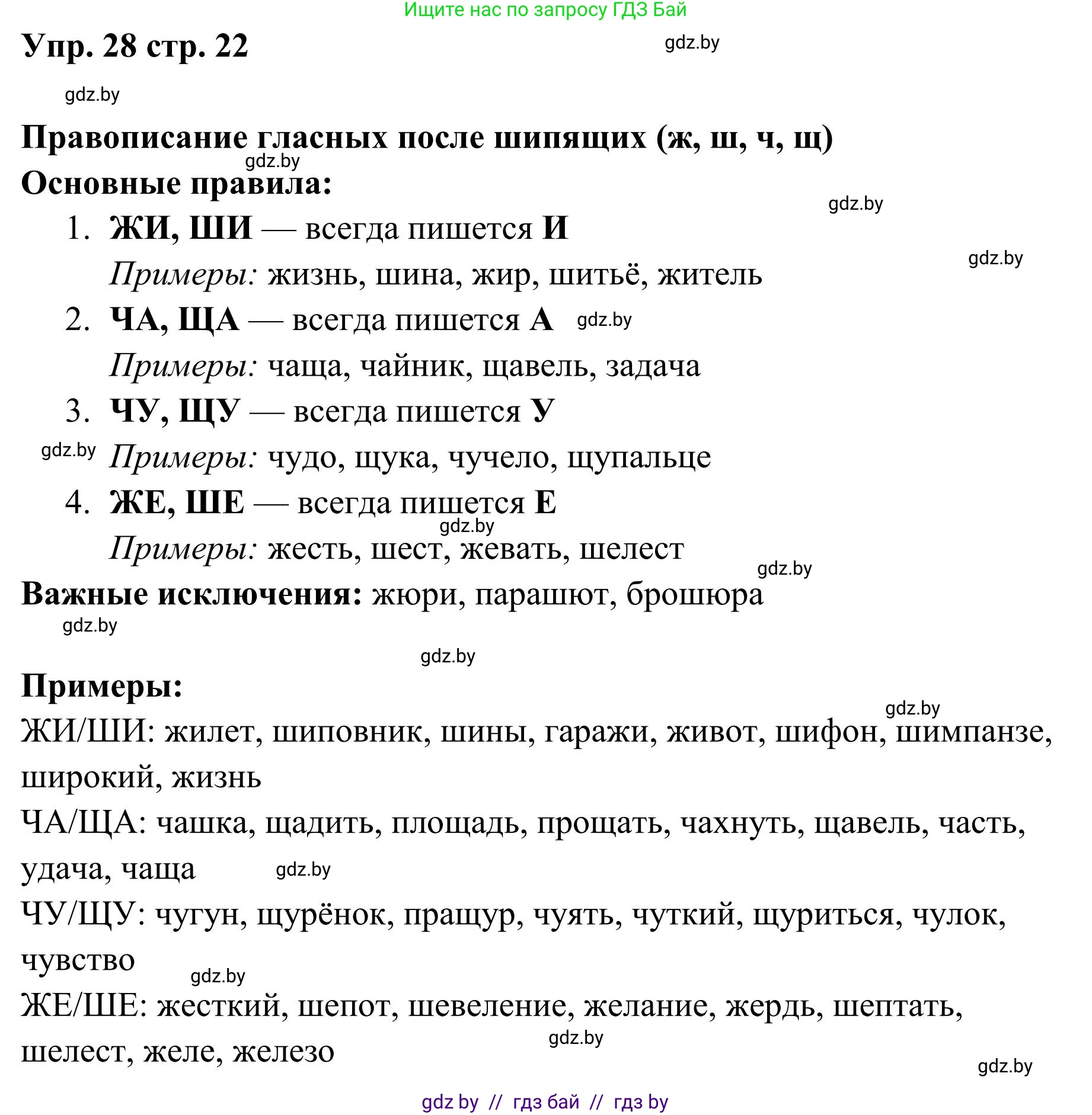 Русский язык, 5 класс Учебник, авторы: Мурина Лариса Александровна, Игнатович Татьяна Владимировна, Жадейко Жанна Фёдоровна, издательство Академия образования, Минск, 2025, голубого цвета, Часть 1, страница 22, номер 28, Решение