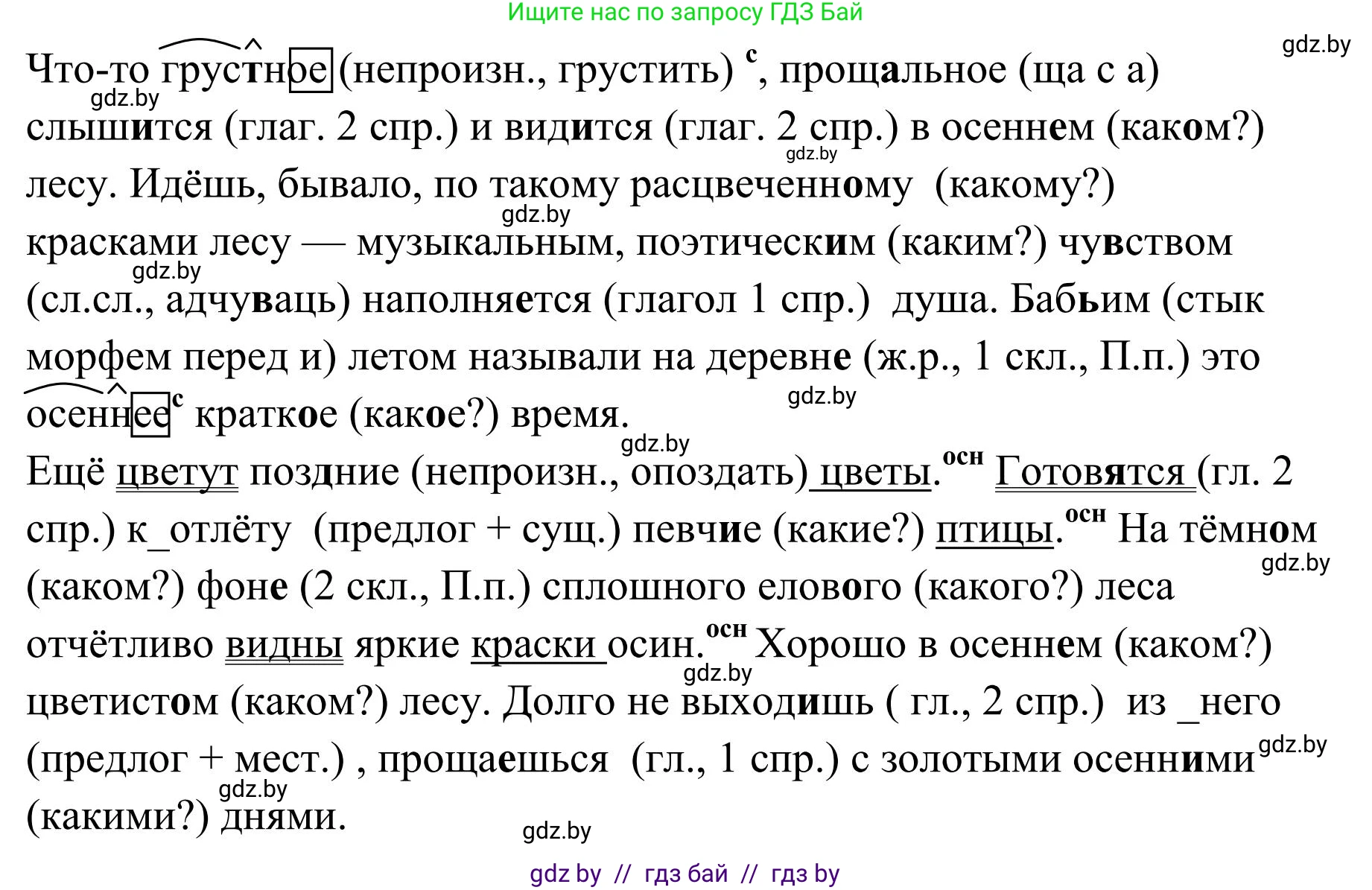 Русский язык, 5 класс Учебник, авторы: Мурина Лариса Александровна, Игнатович Татьяна Владимировна, Жадейко Жанна Фёдоровна, издательство Академия образования, Минск, 2025, голубого цвета, Часть 1, страница 29, номер 41, Решение (продолжение 2)