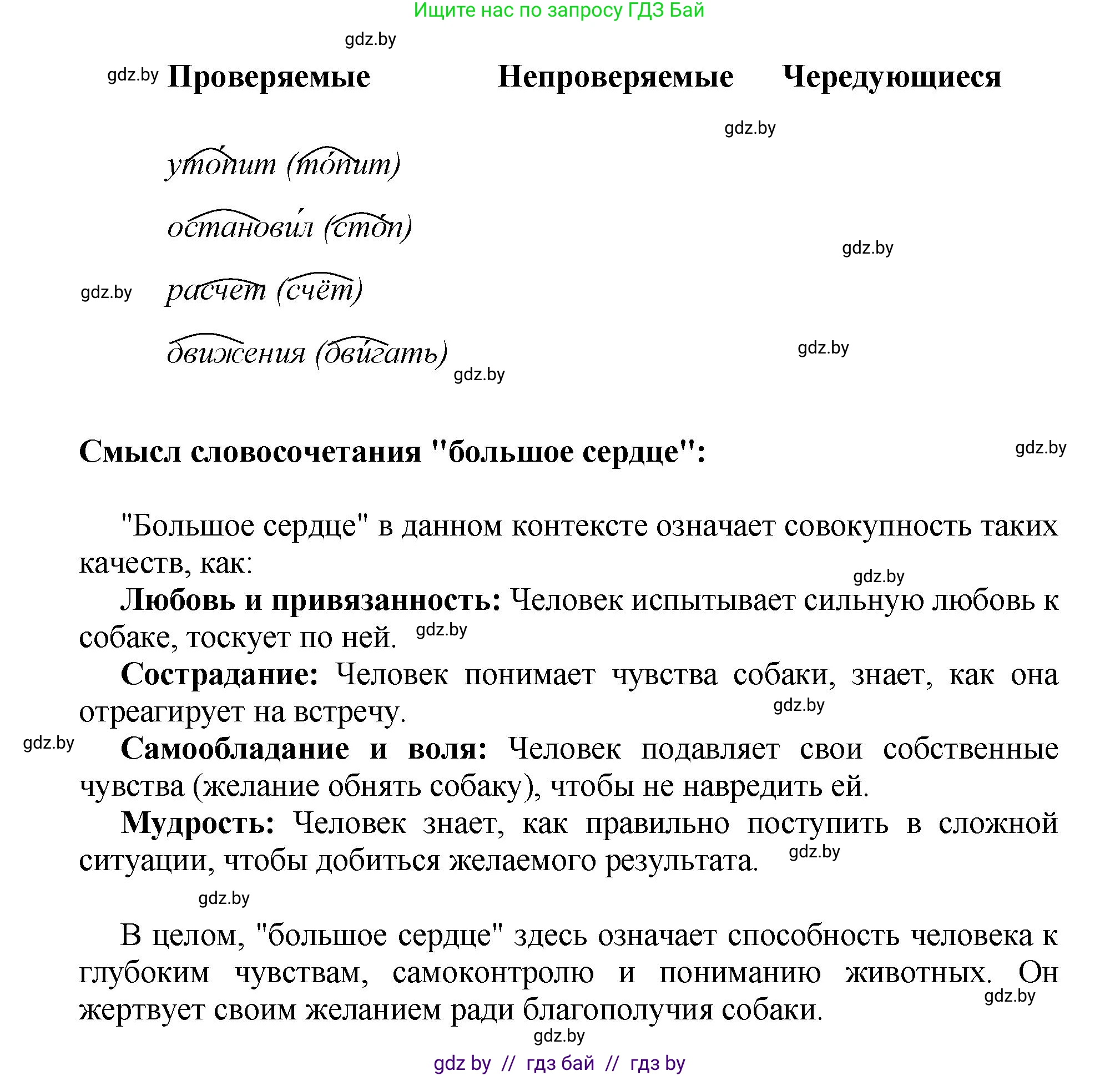 Русский язык, 5 класс Учебник, авторы: Мурина Лариса Александровна, Игнатович Татьяна Владимировна, Жадейко Жанна Фёдоровна, издательство Академия образования, Минск, 2025, голубого цвета, Часть 2, страница 84, номер 166, Решение (продолжение 2)