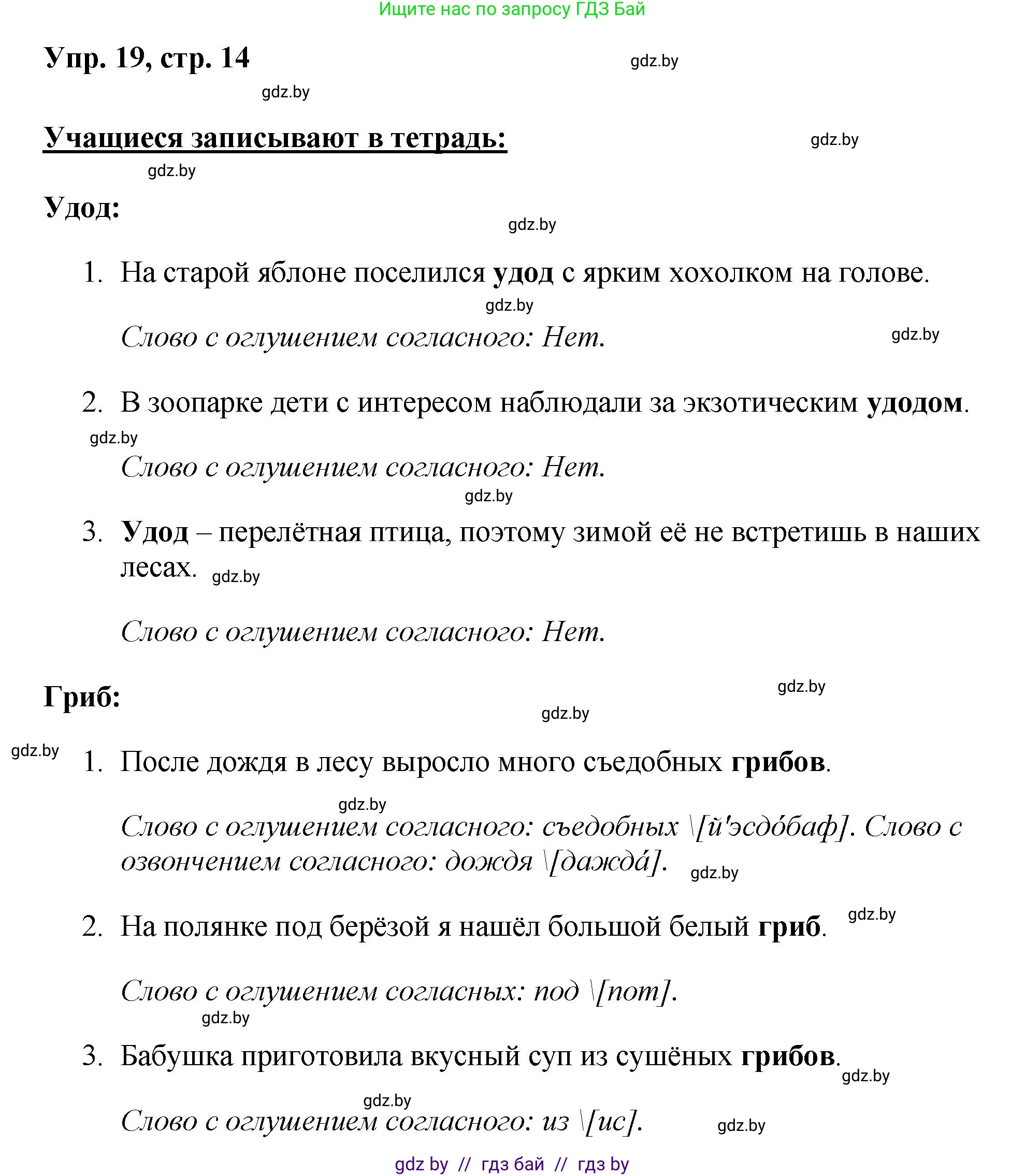 Русский язык, 5 класс Учебник, авторы: Мурина Лариса Александровна, Игнатович Татьяна Владимировна, Жадейко Жанна Фёдоровна, издательство Академия образования, Минск, 2025, голубого цвета, Часть 2, страница 14, номер 19, Решение