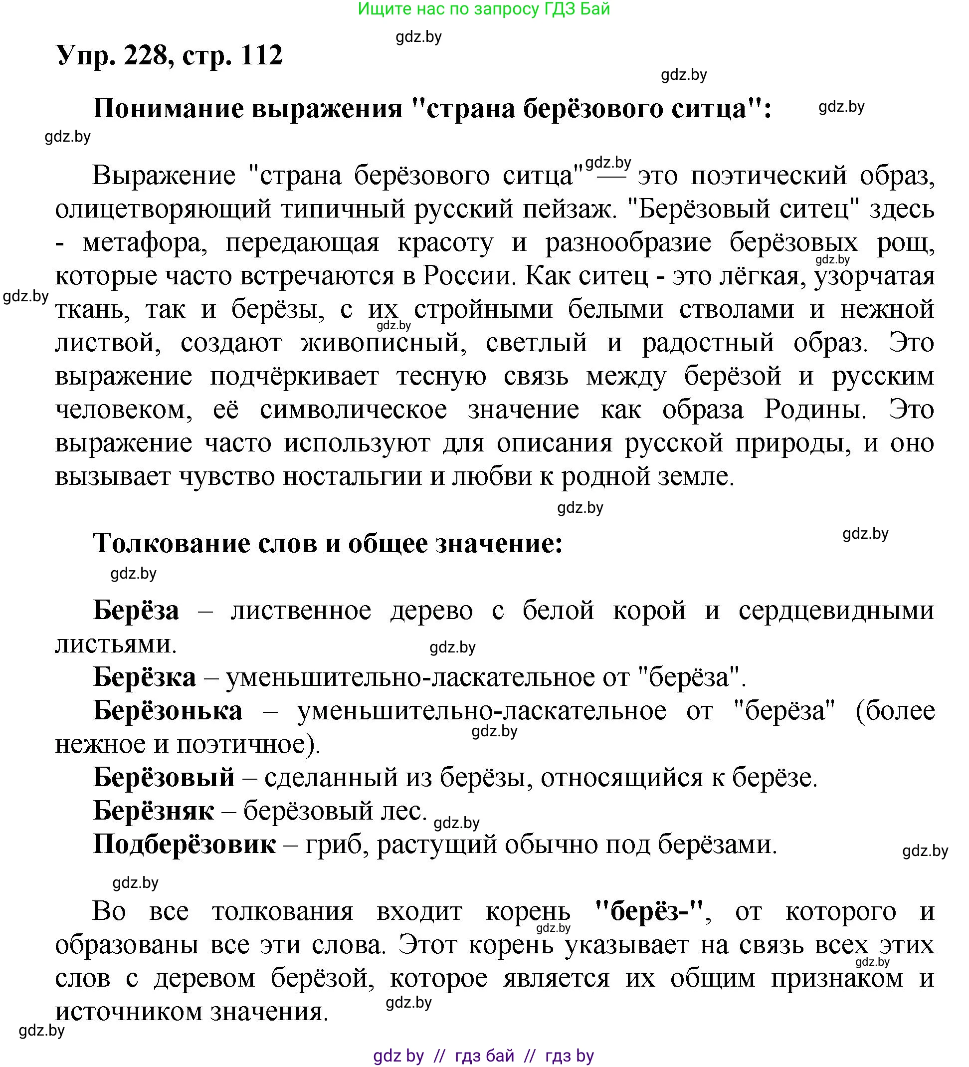 Русский язык, 5 класс Учебник, авторы: Мурина Лариса Александровна, Игнатович Татьяна Владимировна, Жадейко Жанна Фёдоровна, издательство Академия образования, Минск, 2025, голубого цвета, Часть 2, страница 112, номер 228, Решение