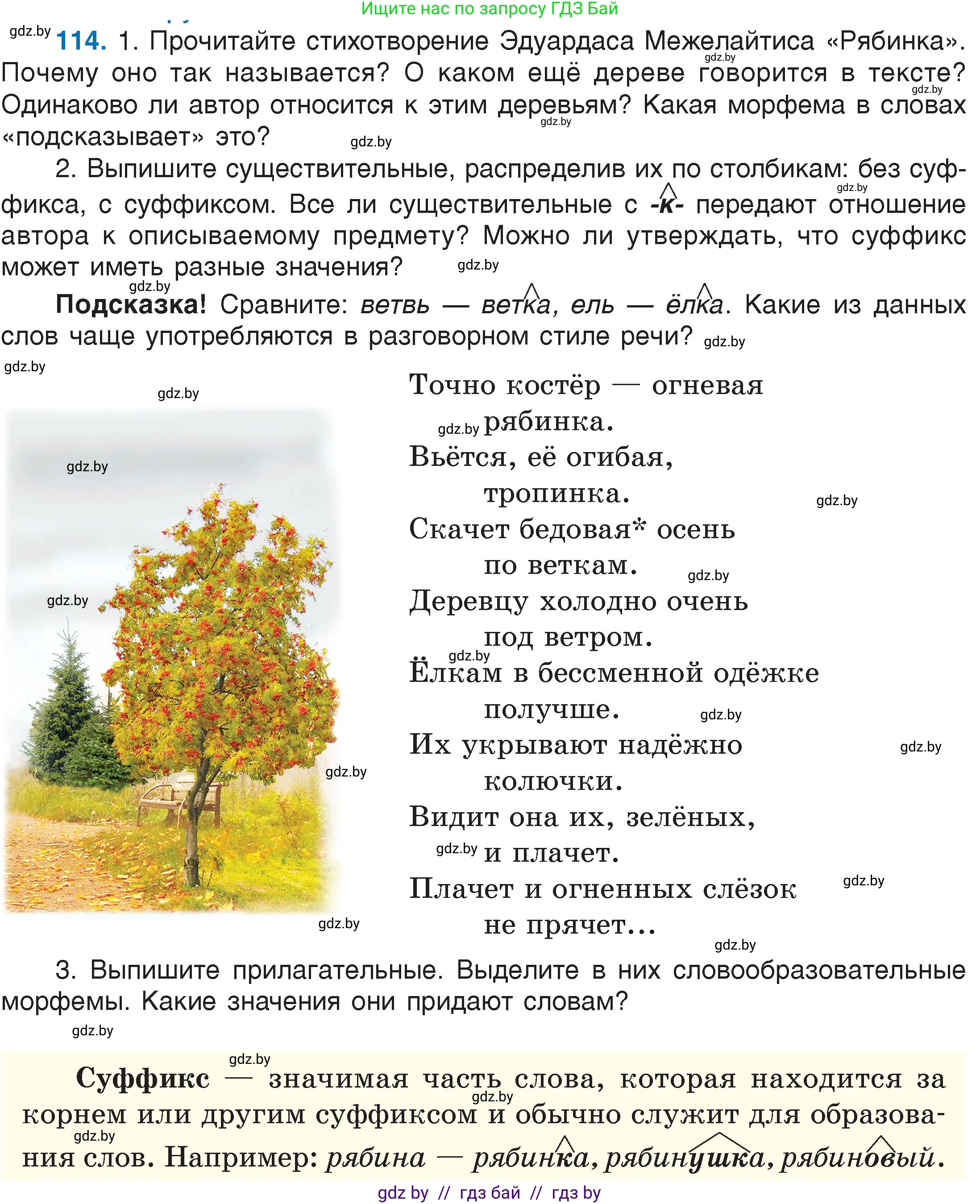 Русский язык, 6 класс Учебник, авторы: Мурина Лариса Александровна, Игнатович Татьяна Владимировна, Жадейко Жанна Фёдоровна, издательство Национальный институт образования, Минск, 2020, страница 58, номер 114, Условие