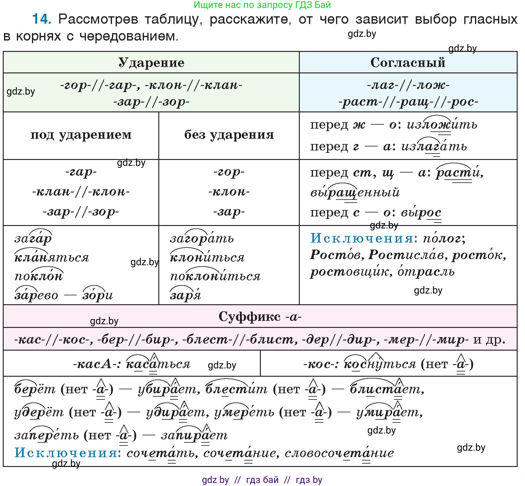 Русский язык, 6 класс Учебник, авторы: Мурина Лариса Александровна, Игнатович Татьяна Владимировна, Жадейко Жанна Фёдоровна, издательство Национальный институт образования, Минск, 2020, страница 11, номер 14, Условие
