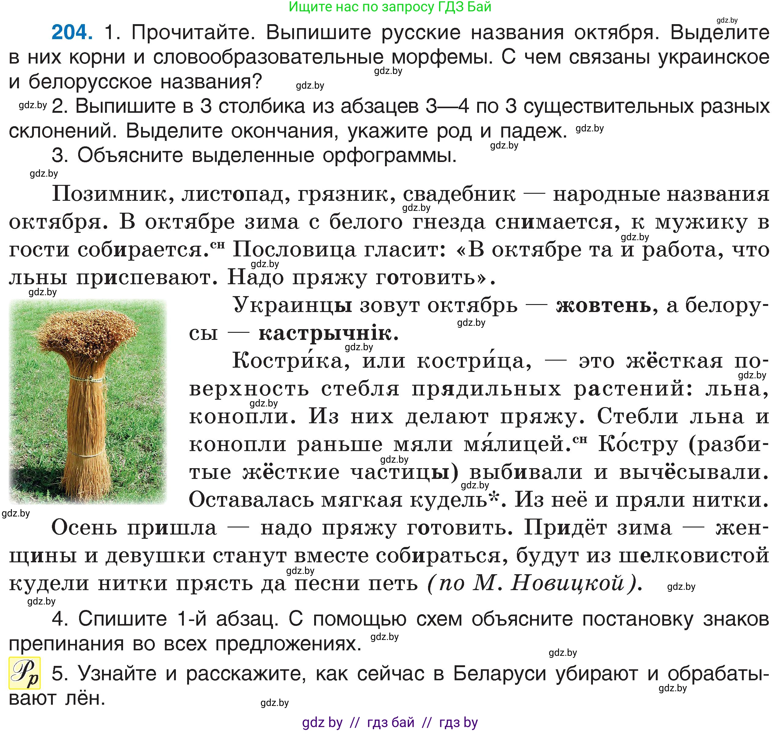 Русский язык, 6 класс Учебник, авторы: Мурина Лариса Александровна, Игнатович Татьяна Владимировна, Жадейко Жанна Фёдоровна, издательство Национальный институт образования, Минск, 2020, страница 98, номер 204, Условие