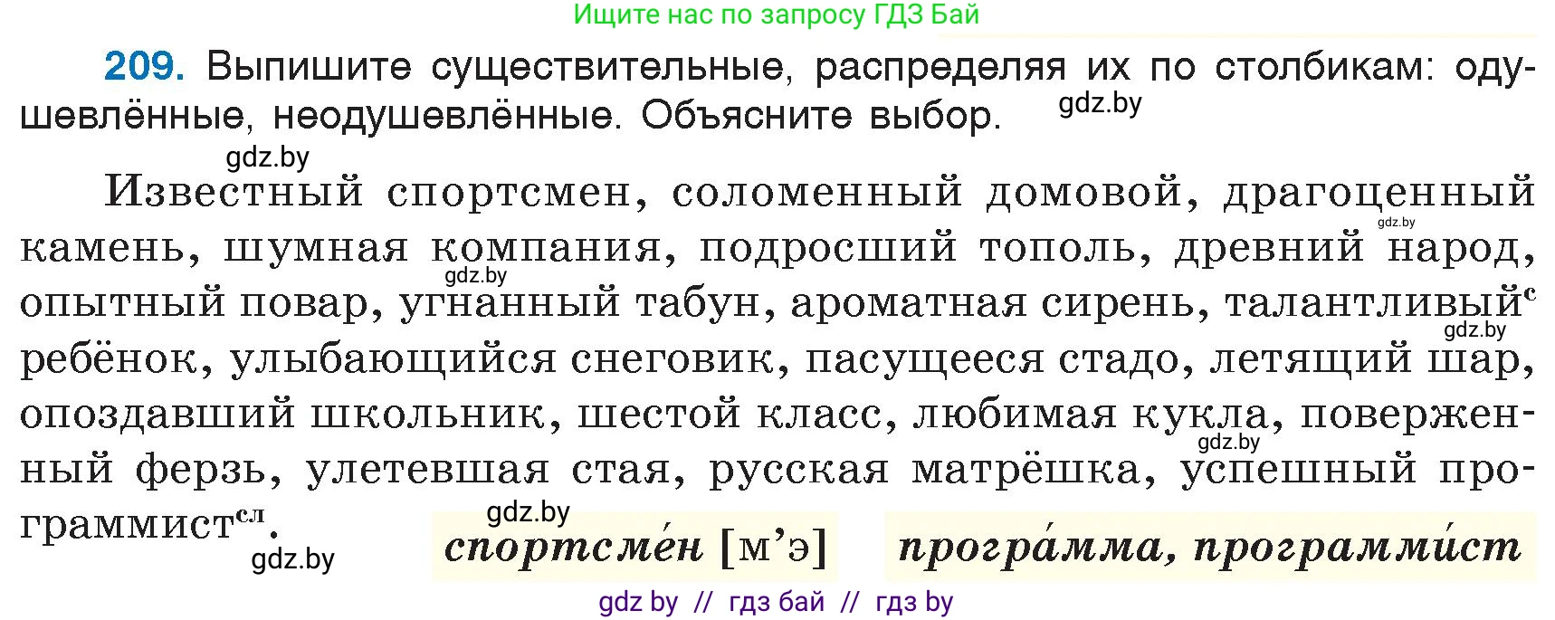 Русский язык, 6 класс Учебник, авторы: Мурина Лариса Александровна, Игнатович Татьяна Владимировна, Жадейко Жанна Фёдоровна, издательство Национальный институт образования, Минск, 2020, страница 100, номер 209, Условие