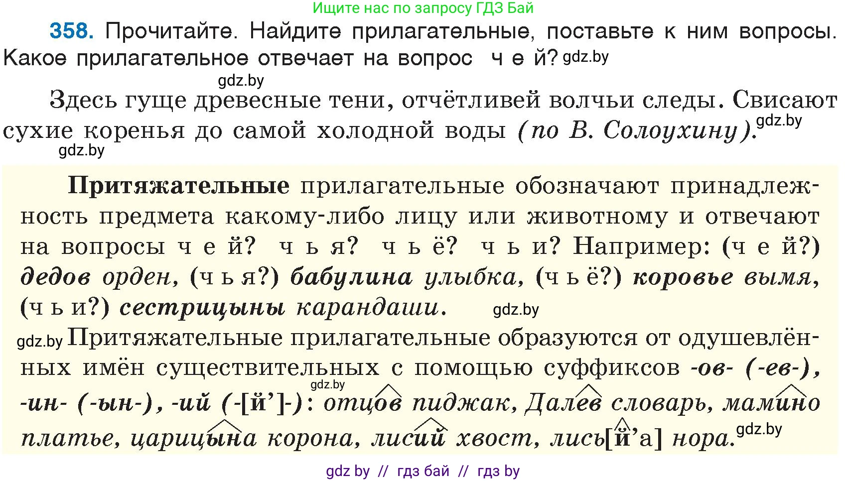 Русский язык, 6 класс Учебник, авторы: Мурина Лариса Александровна, Игнатович Татьяна Владимировна, Жадейко Жанна Фёдоровна, издательство Национальный институт образования, Минск, 2020, страница 164, номер 358, Условие