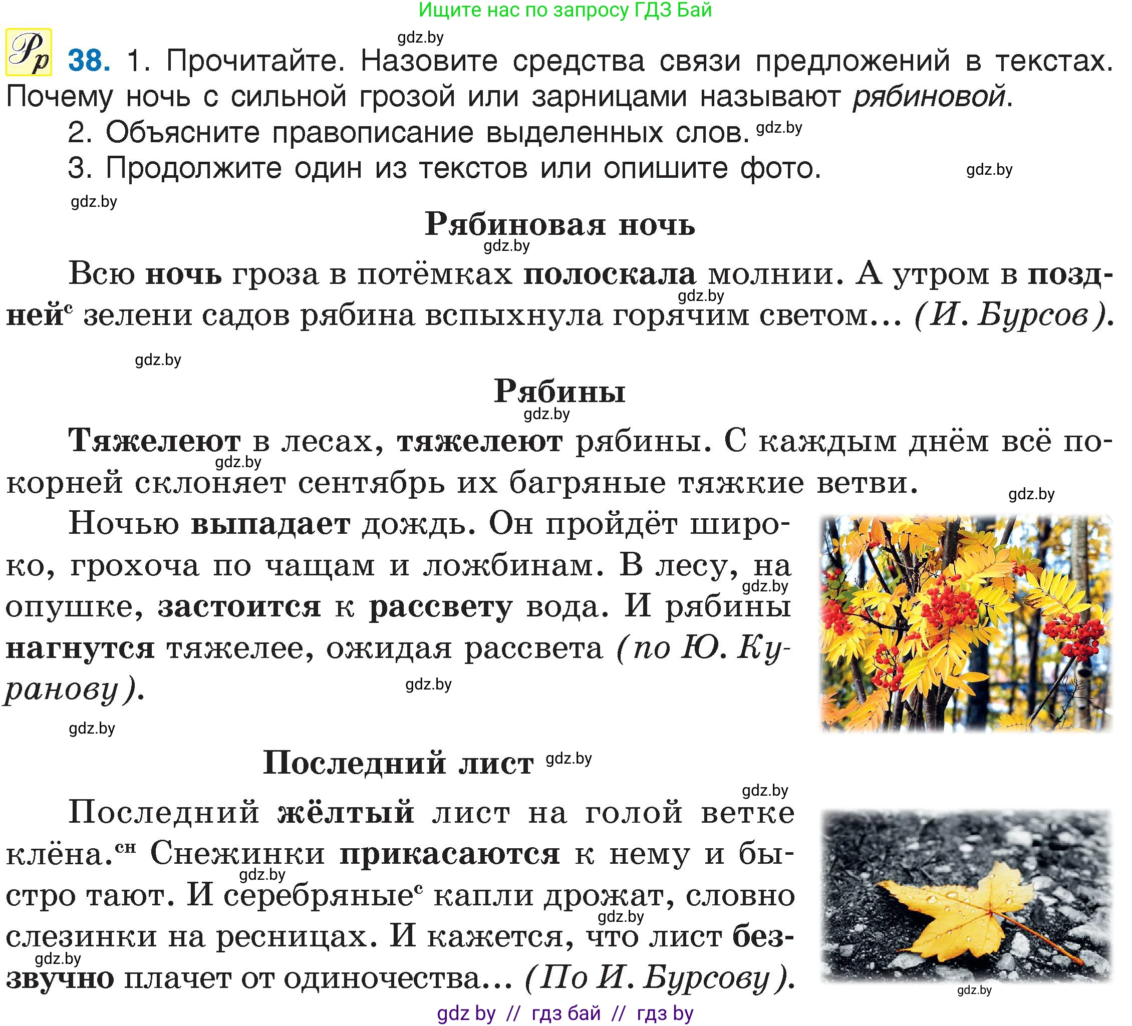 Русский язык, 6 класс Учебник, авторы: Мурина Лариса Александровна, Игнатович Татьяна Владимировна, Жадейко Жанна Фёдоровна, издательство Национальный институт образования, Минск, 2020, страница 25, номер 38, Условие