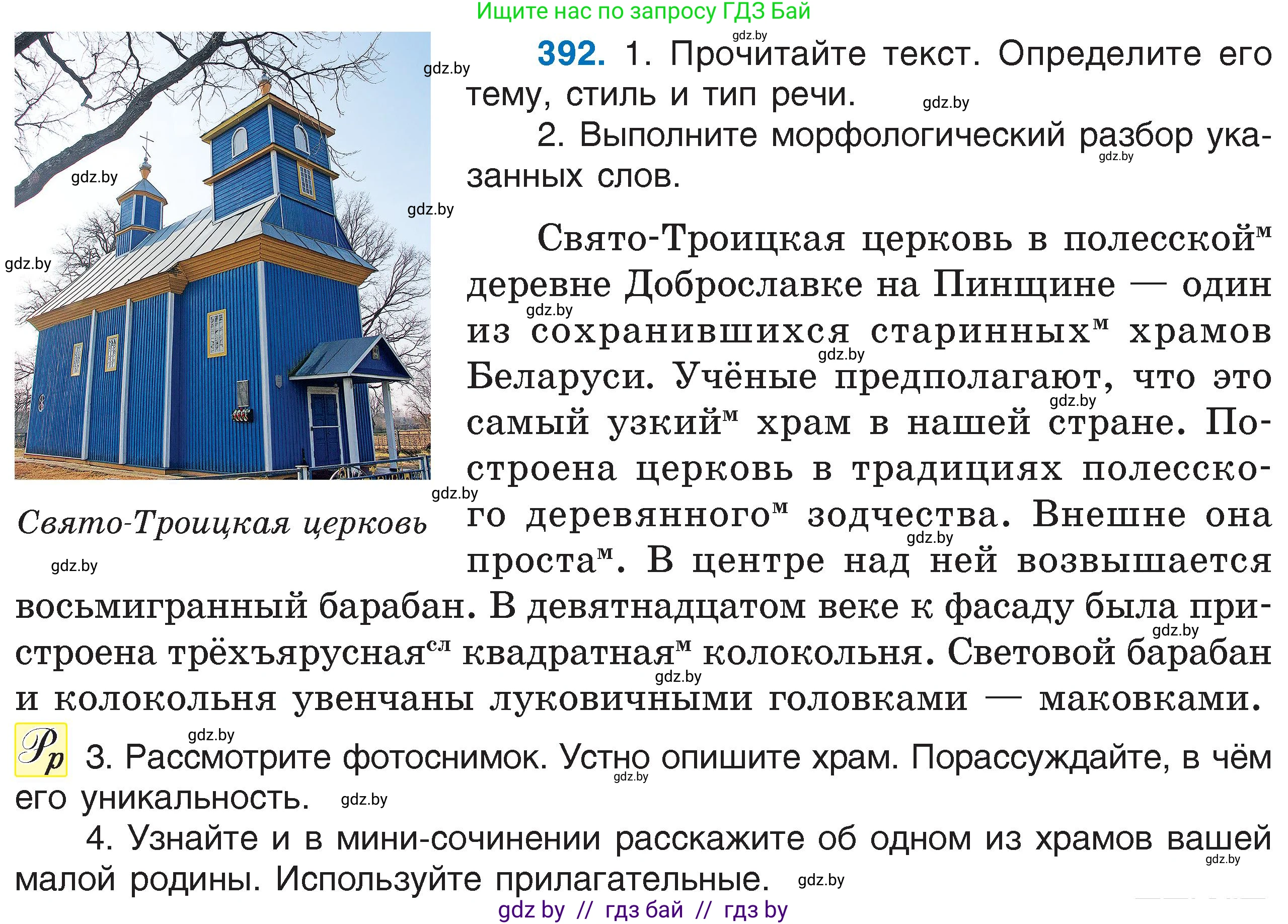 Русский язык, 6 класс Учебник, авторы: Мурина Лариса Александровна, Игнатович Татьяна Владимировна, Жадейко Жанна Фёдоровна, издательство Национальный институт образования, Минск, 2020, страница 178, номер 392, Условие