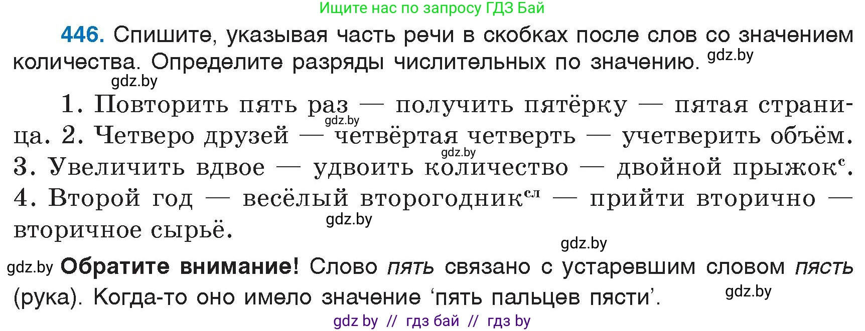 Русский язык, 6 класс Учебник, авторы: Мурина Лариса Александровна, Игнатович Татьяна Владимировна, Жадейко Жанна Фёдоровна, издательство Национальный институт образования, Минск, 2020, страница 199, номер 446, Условие
