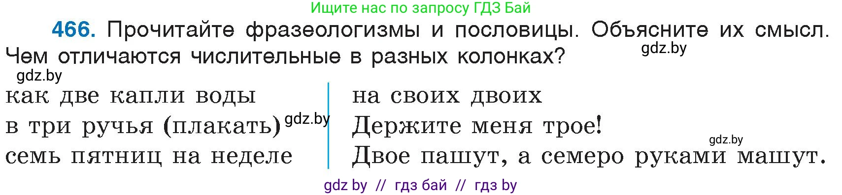Русский язык, 6 класс Учебник, авторы: Мурина Лариса Александровна, Игнатович Татьяна Владимировна, Жадейко Жанна Фёдоровна, издательство Национальный институт образования, Минск, 2020, страница 205, номер 466, Условие