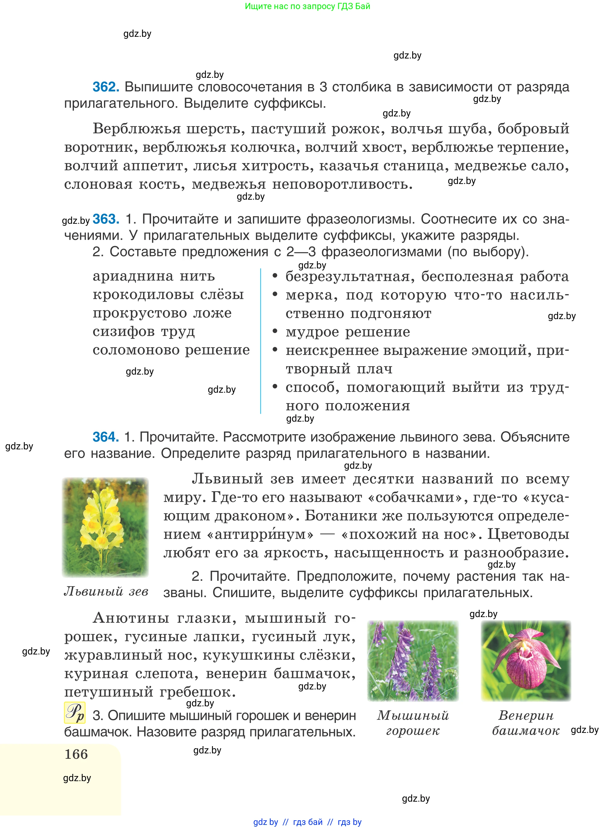 Русский язык, 6 класс Учебник, авторы: Мурина Лариса Александровна, Игнатович Татьяна Владимировна, Жадейко Жанна Фёдоровна, издательство Национальный институт образования, Минск, 2020, страница 166