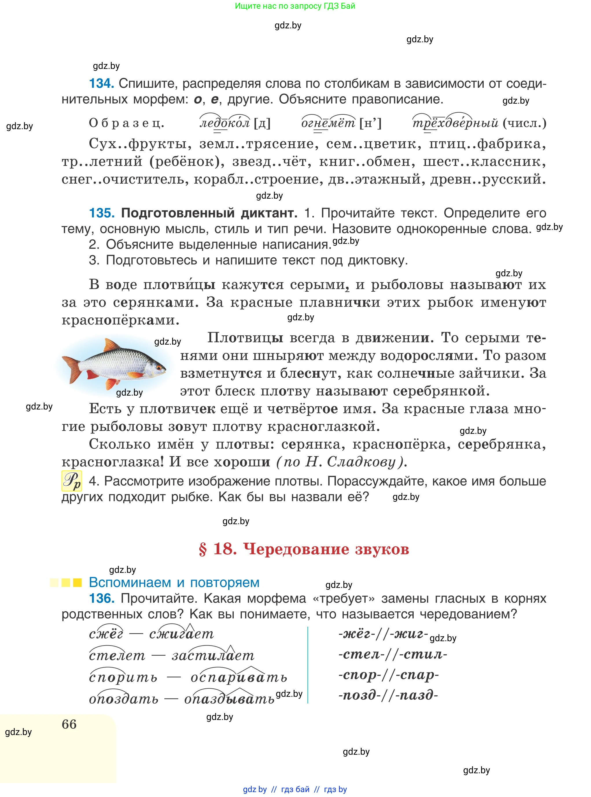 Русский язык, 6 класс Учебник, авторы: Мурина Лариса Александровна, Игнатович Татьяна Владимировна, Жадейко Жанна Фёдоровна, издательство Национальный институт образования, Минск, 2020, страница 66