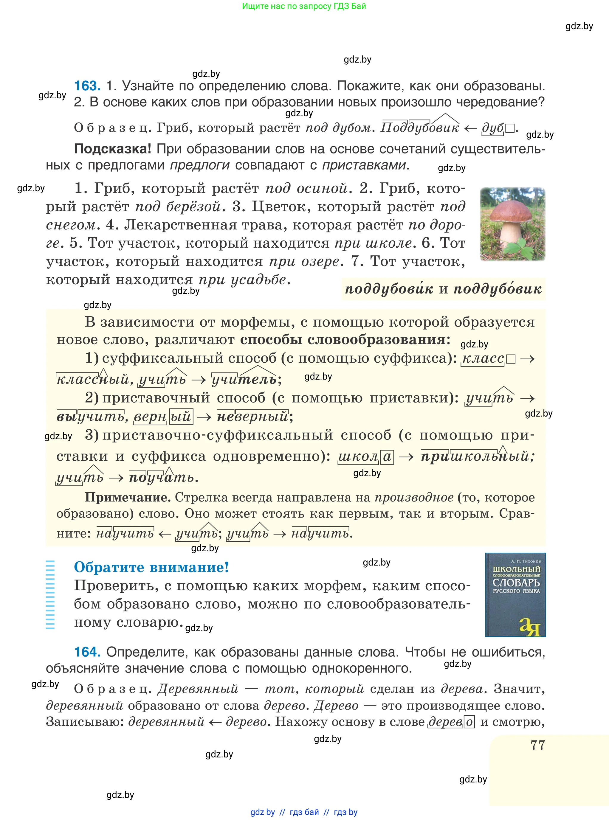 Русский язык, 6 класс Учебник, авторы: Мурина Лариса Александровна, Игнатович Татьяна Владимировна, Жадейко Жанна Фёдоровна, издательство Национальный институт образования, Минск, 2020, страница 77