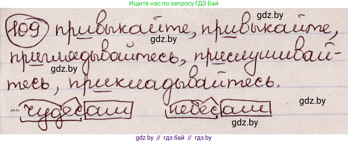 Русский язык, 6 класс Учебник, авторы: Мурина Лариса Александровна, Игнатович Татьяна Владимировна, Жадейко Жанна Фёдоровна, издательство Национальный институт образования, Минск, 2020, страница 55, номер 109, Решение 2