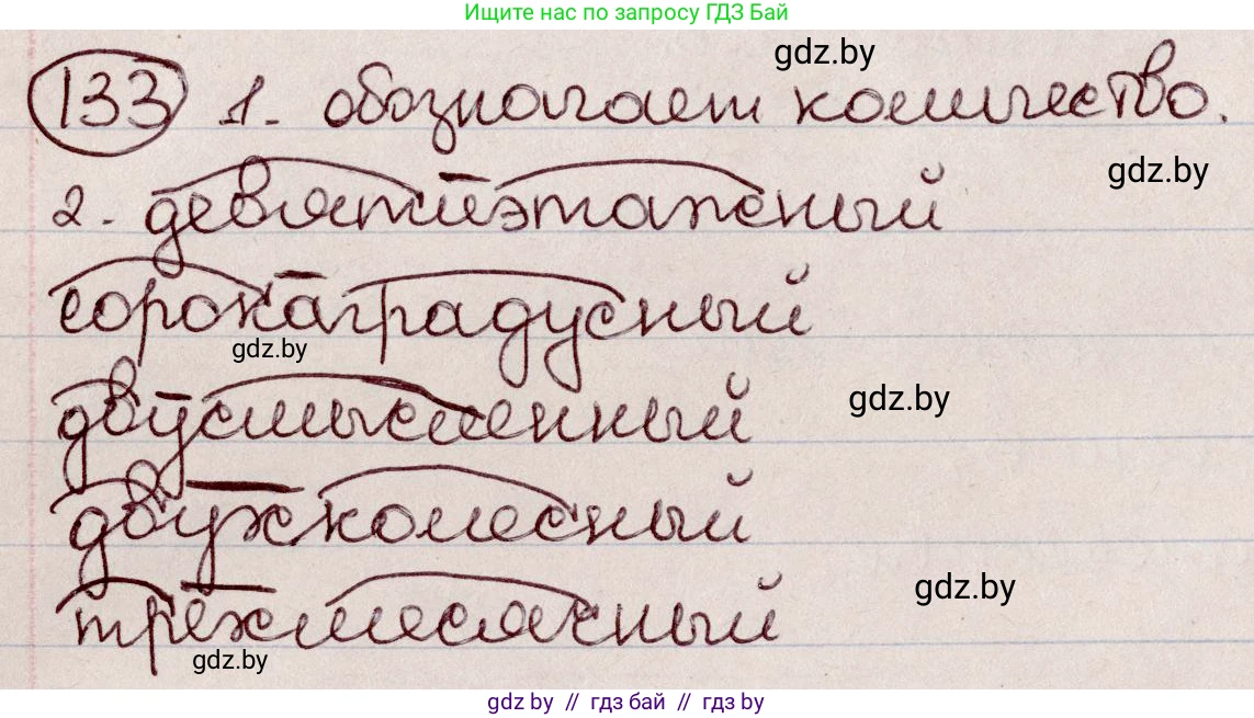 Русский язык, 6 класс Учебник, авторы: Мурина Лариса Александровна, Игнатович Татьяна Владимировна, Жадейко Жанна Фёдоровна, издательство Национальный институт образования, Минск, 2020, страница 65, номер 133, Решение 2