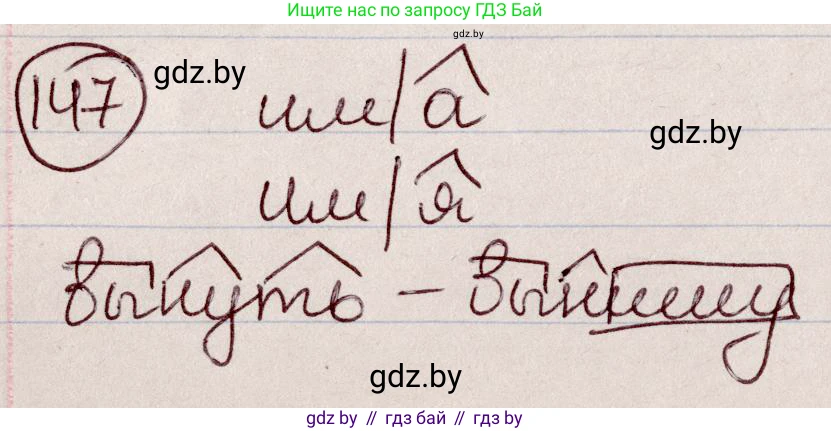 Русский язык, 6 класс Учебник, авторы: Мурина Лариса Александровна, Игнатович Татьяна Владимировна, Жадейко Жанна Фёдоровна, издательство Национальный институт образования, Минск, 2020, страница 70, номер 147, Решение 2