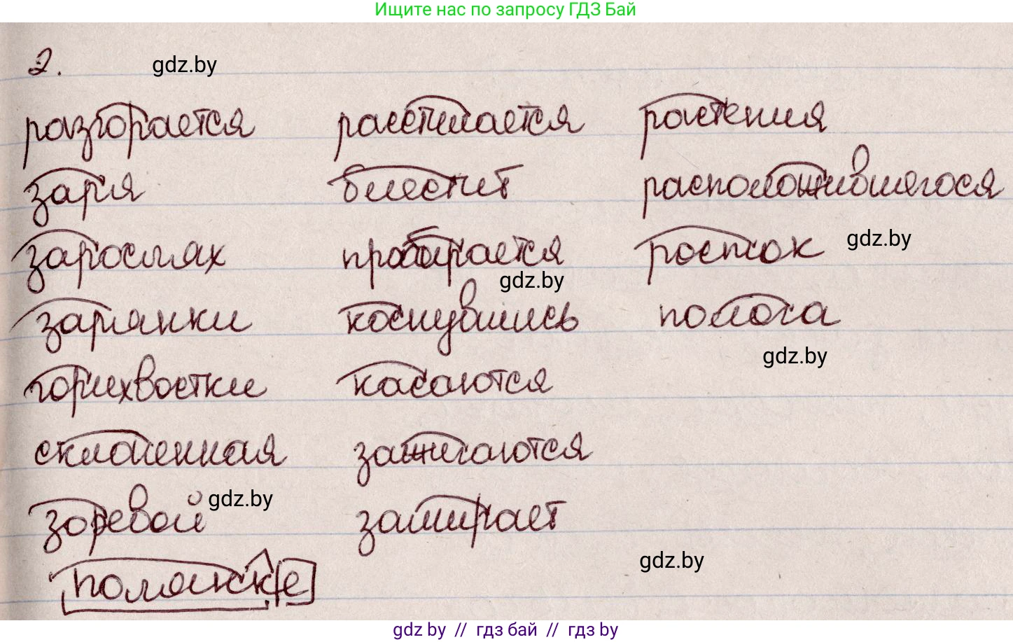 Русский язык, 6 класс Учебник, авторы: Мурина Лариса Александровна, Игнатович Татьяна Владимировна, Жадейко Жанна Фёдоровна, издательство Национальный институт образования, Минск, 2020, страница 12, номер 15, Решение 2 (продолжение 2)