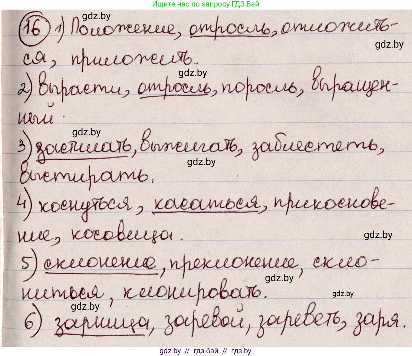 Русский язык, 6 класс Учебник, авторы: Мурина Лариса Александровна, Игнатович Татьяна Владимировна, Жадейко Жанна Фёдоровна, издательство Национальный институт образования, Минск, 2020, страница 12, номер 16, Решение 2