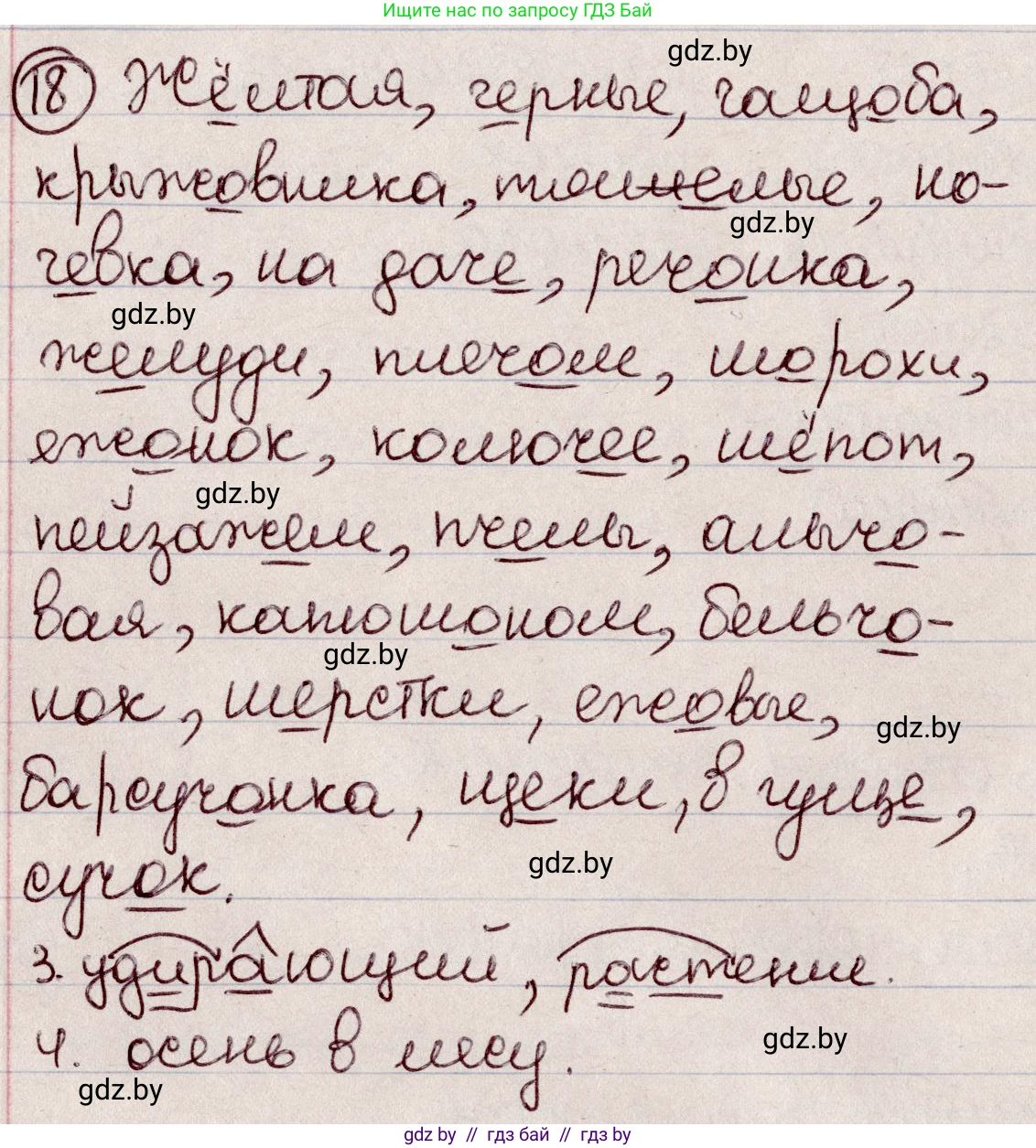 Русский язык, 6 класс Учебник, авторы: Мурина Лариса Александровна, Игнатович Татьяна Владимировна, Жадейко Жанна Фёдоровна, издательство Национальный институт образования, Минск, 2020, страница 13, номер 18, Решение 2