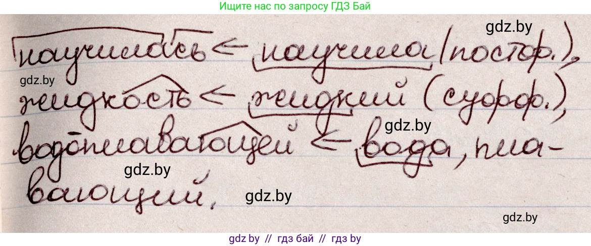 Русский язык, 6 класс Учебник, авторы: Мурина Лариса Александровна, Игнатович Татьяна Владимировна, Жадейко Жанна Фёдоровна, издательство Национальный институт образования, Минск, 2020, страница 84, номер 182, Решение 2 (продолжение 2)
