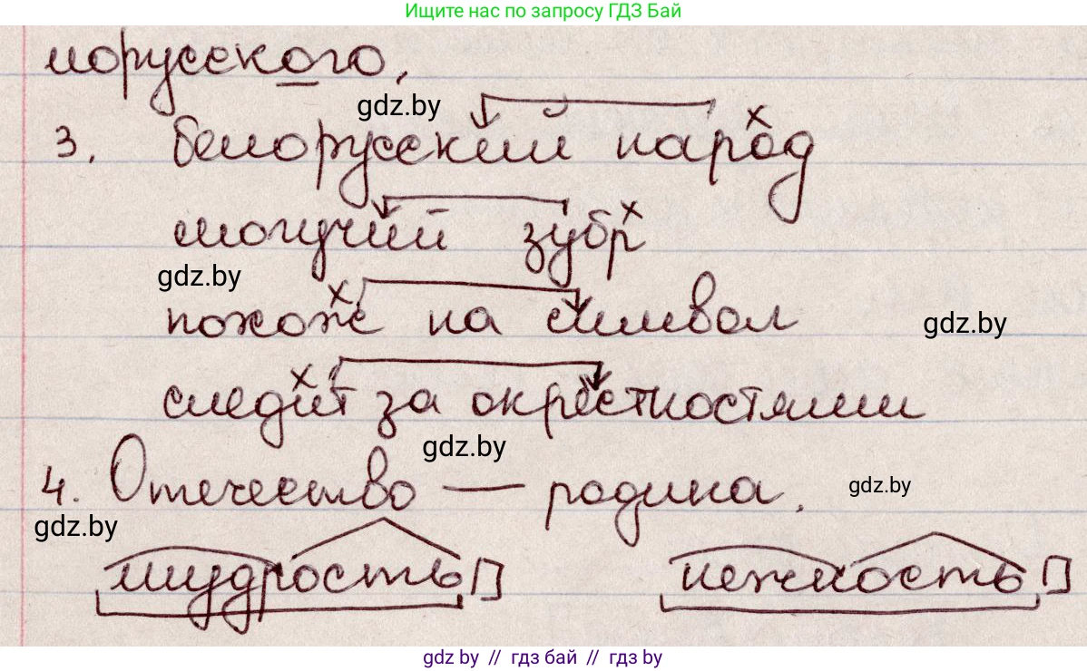 Русский язык, 6 класс Учебник, авторы: Мурина Лариса Александровна, Игнатович Татьяна Владимировна, Жадейко Жанна Фёдоровна, издательство Национальный институт образования, Минск, 2020, страница 3, номер 2, Решение 2 (продолжение 2)