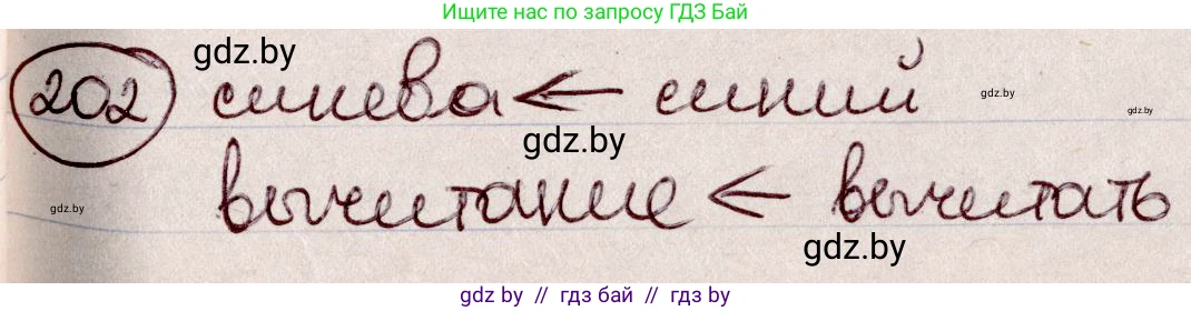 Русский язык, 6 класс Учебник, авторы: Мурина Лариса Александровна, Игнатович Татьяна Владимировна, Жадейко Жанна Фёдоровна, издательство Национальный институт образования, Минск, 2020, страница 97, номер 202, Решение 2