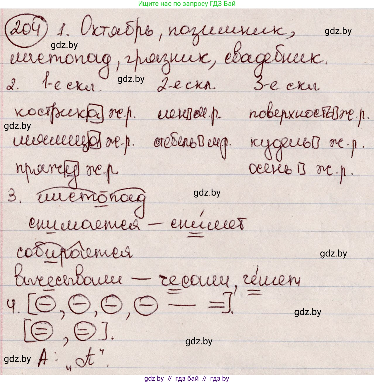 Русский язык, 6 класс Учебник, авторы: Мурина Лариса Александровна, Игнатович Татьяна Владимировна, Жадейко Жанна Фёдоровна, издательство Национальный институт образования, Минск, 2020, страница 98, номер 204, Решение 2